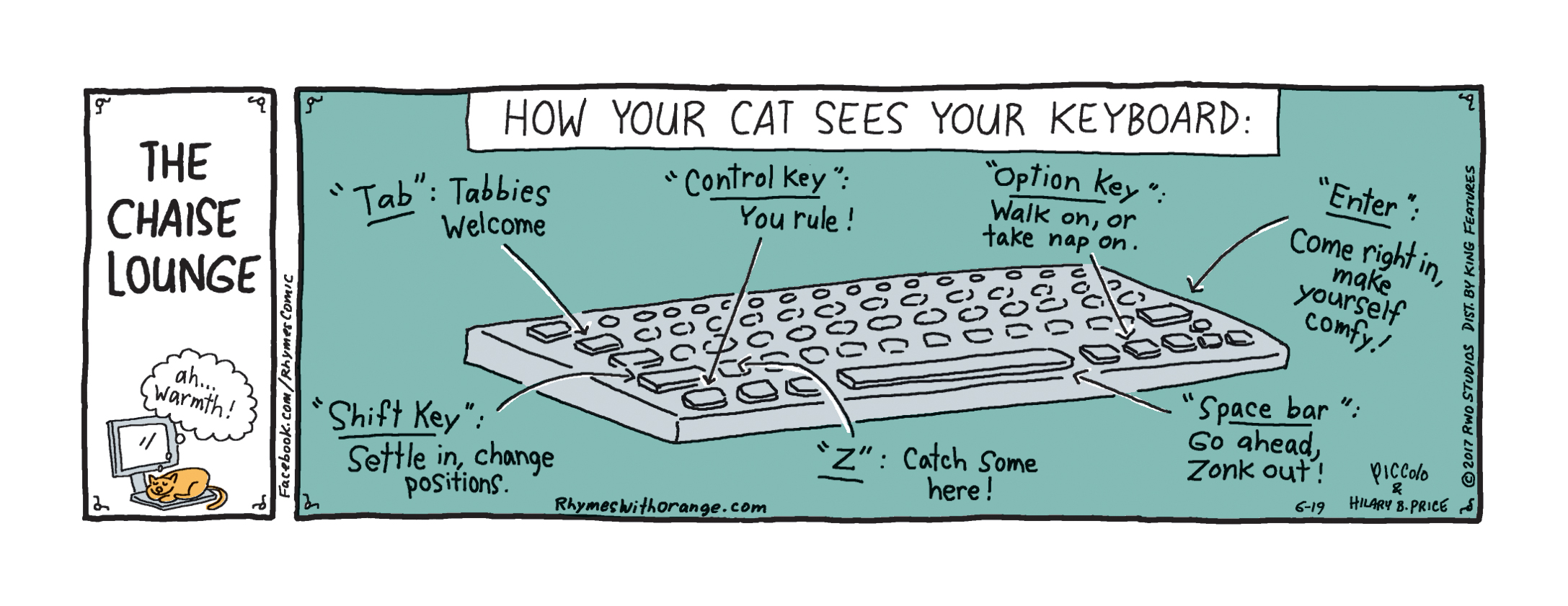 How Cat sees Keyboard.jpg
