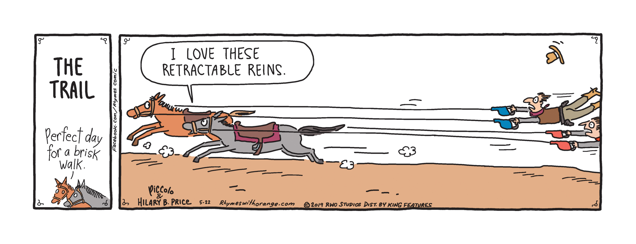 retractable reins.jpg