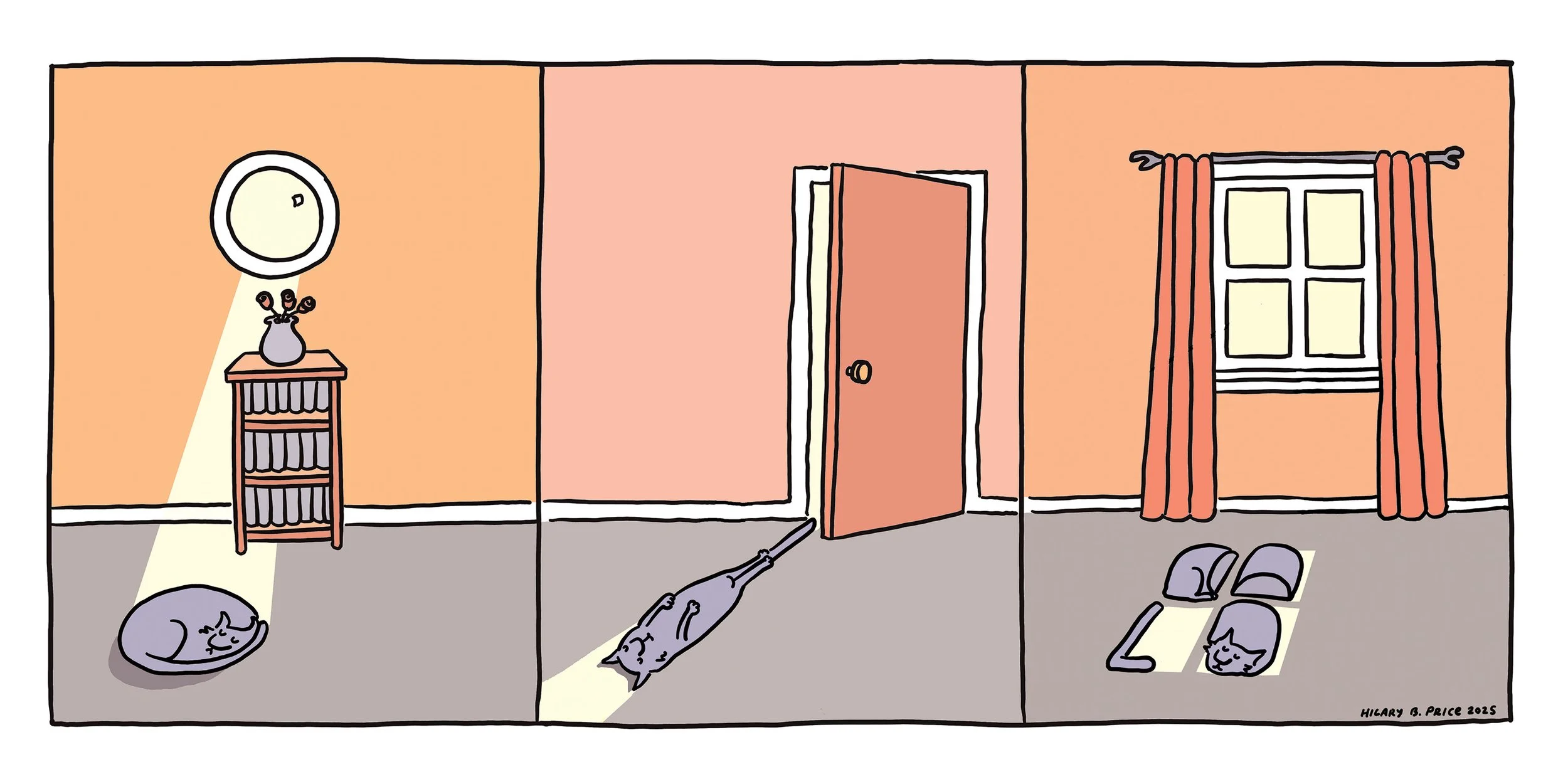 Catinsunbeamrevise2025_SZB copy.jpg