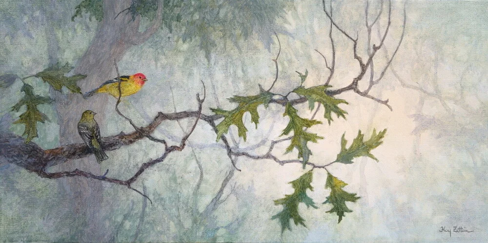 Western Tanager Pair1000.JPG