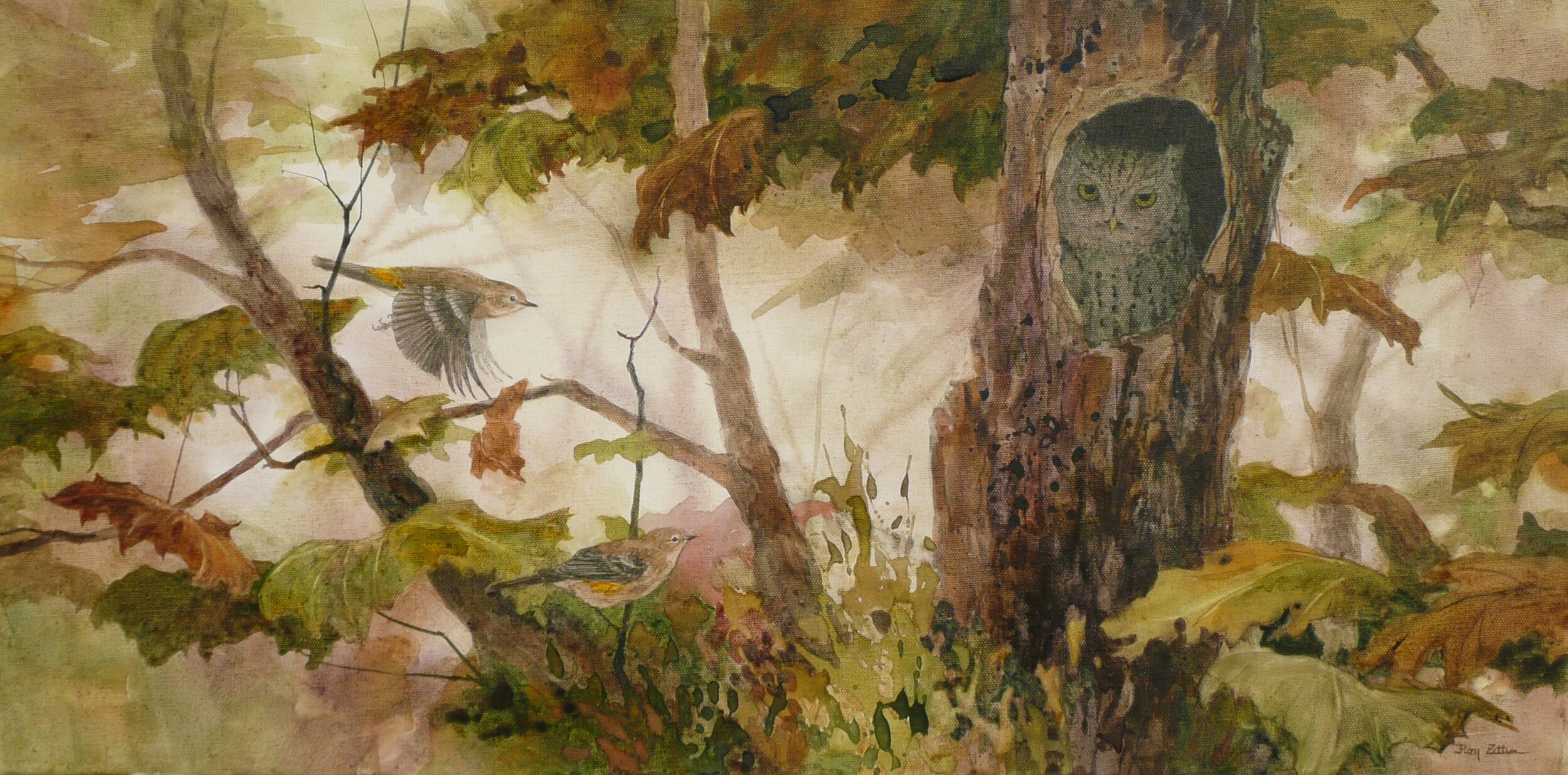Screech Owl at Blackberry Farm.JPG