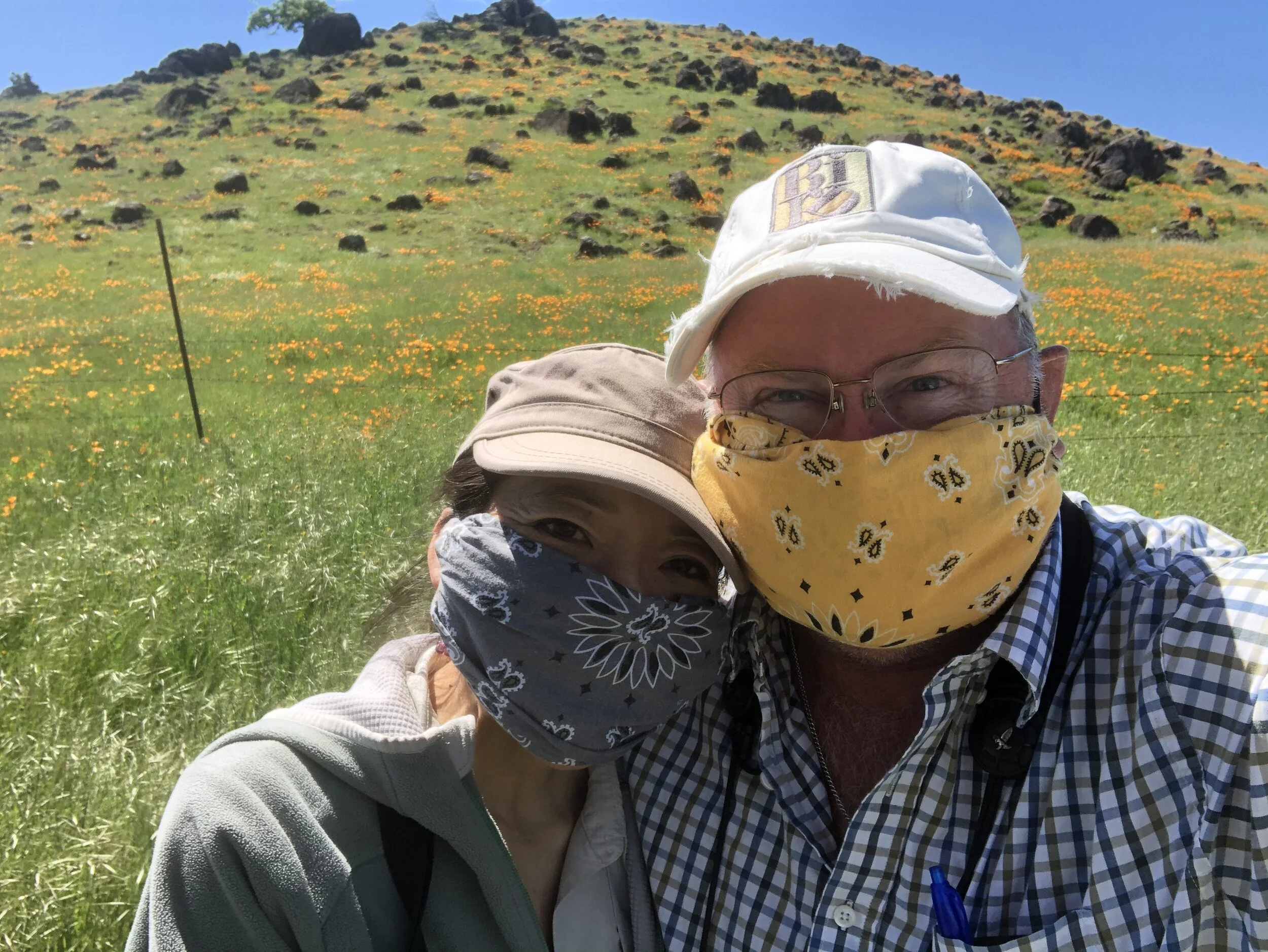 The DeDUCKtions Birdathon Trip Report