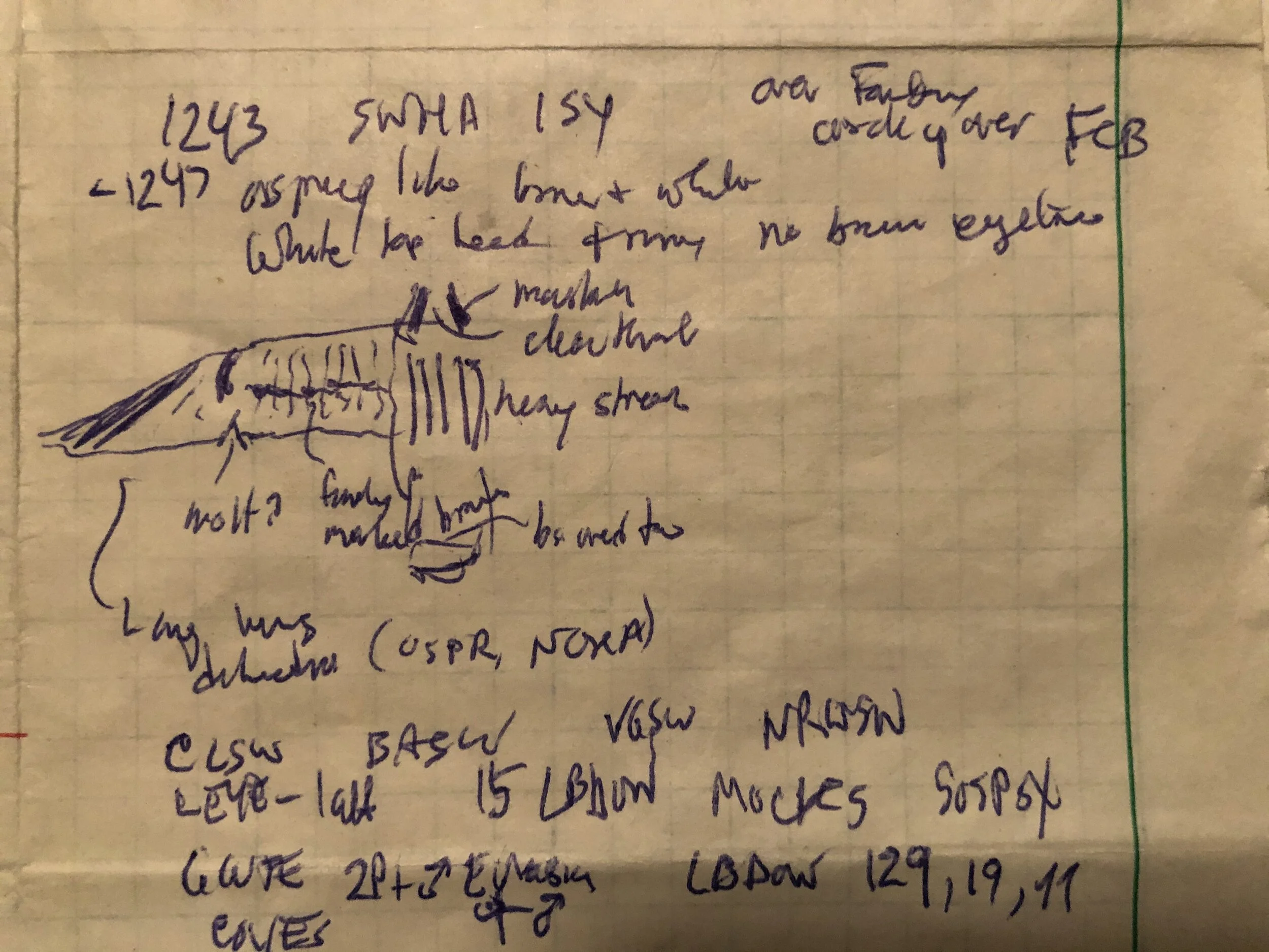 Varied Twitchers Trip Report