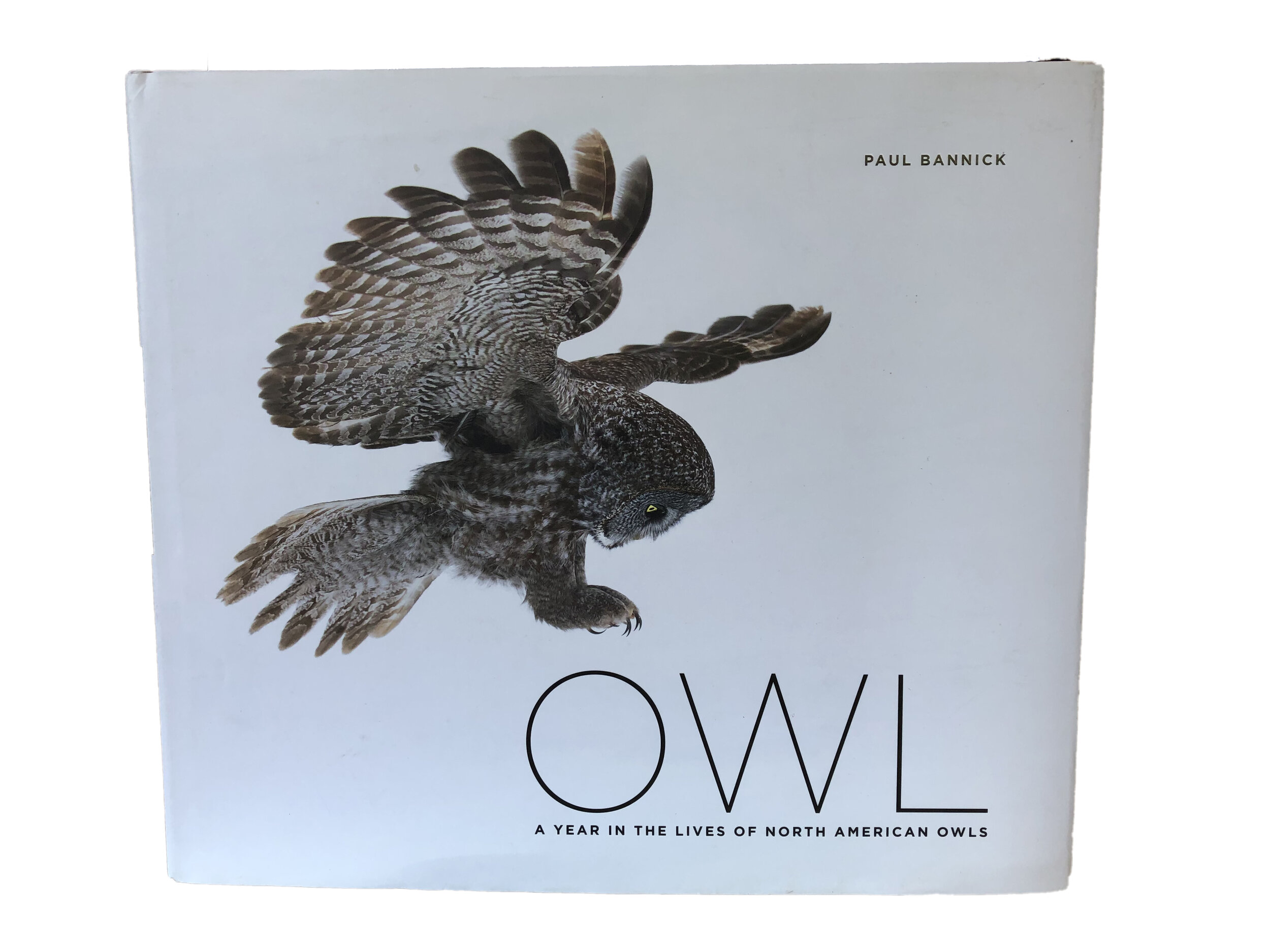 Owl - $34.95