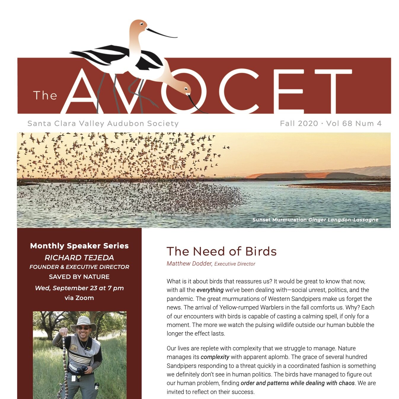 The Avocet - Fall Issue