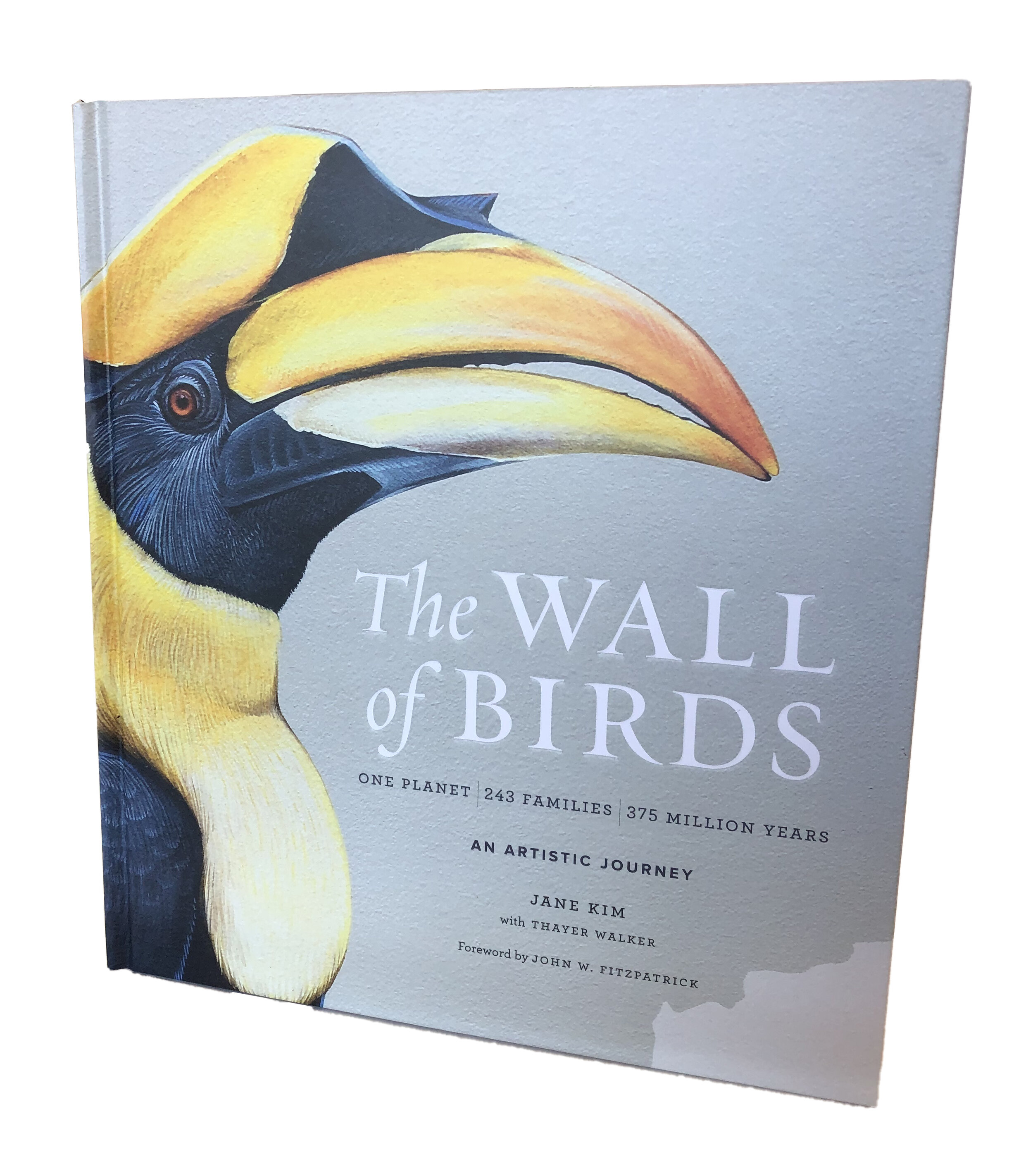 Wall of Birds - $45.00