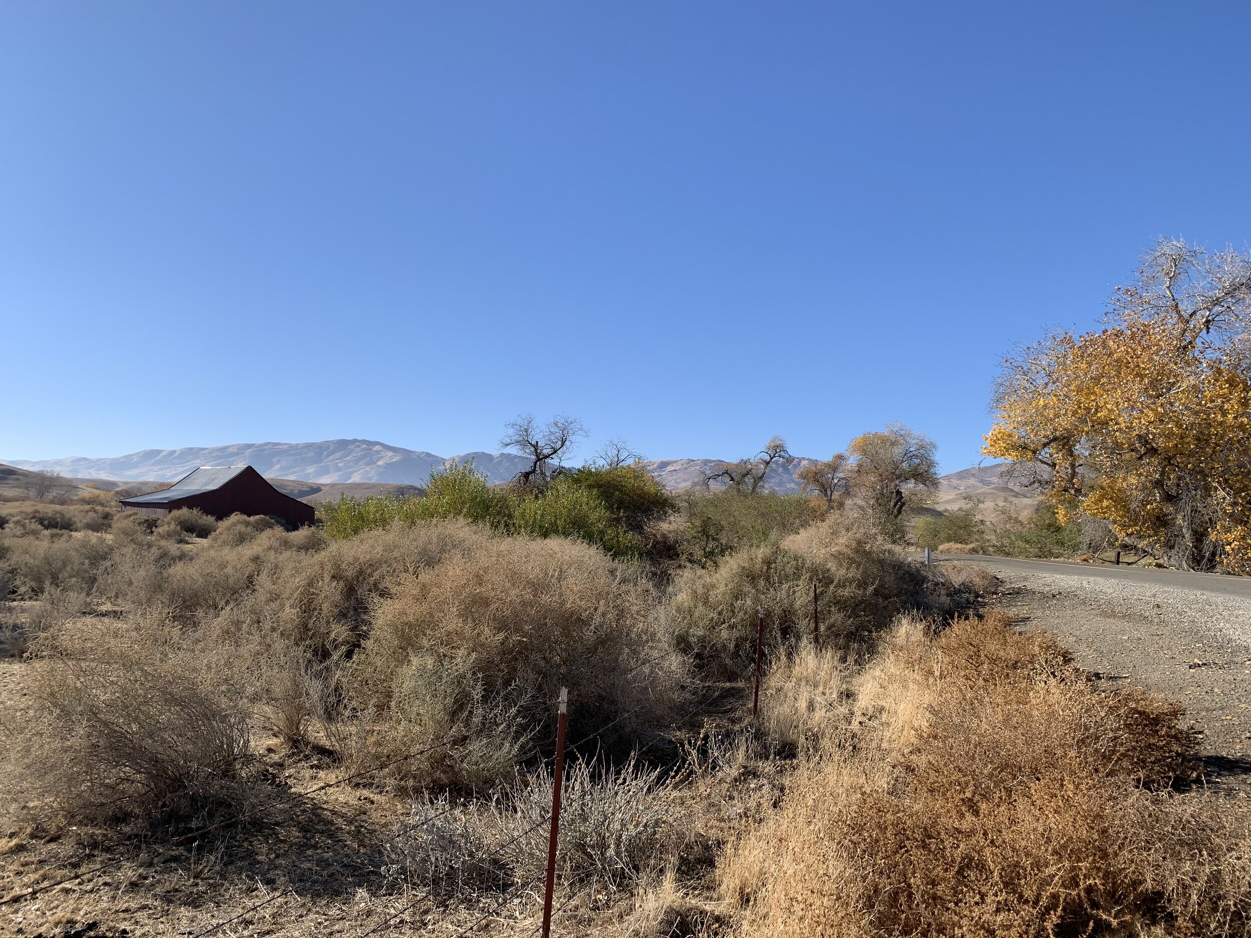 Panoche Valley (Winter): A Desolate Paradise