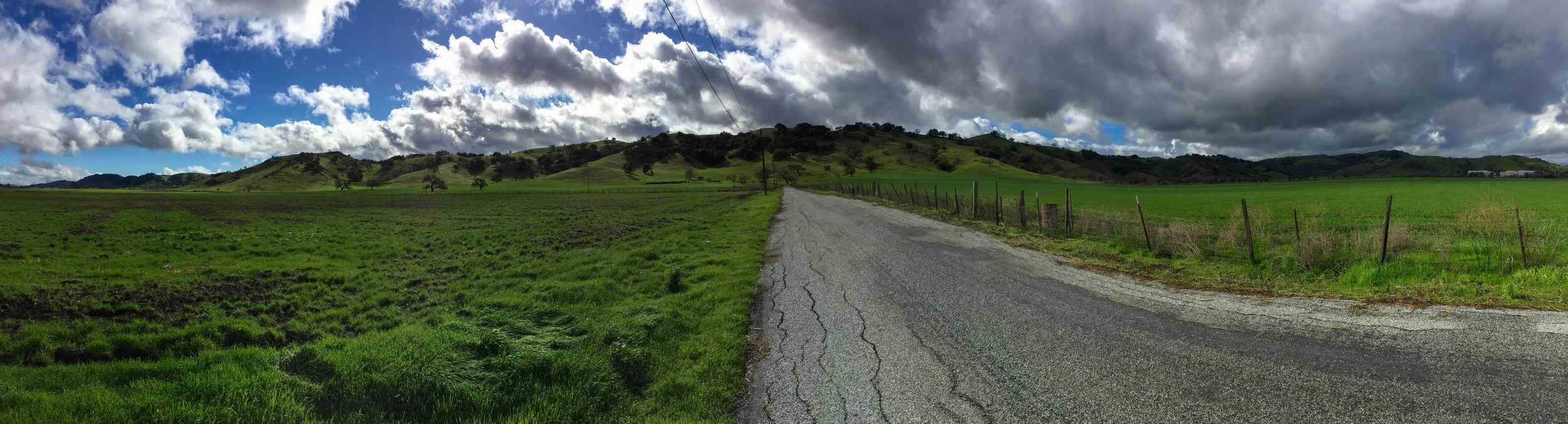Coyote Valley (Late Winter/Early Spring): Love &amp; Raptors in the Air
