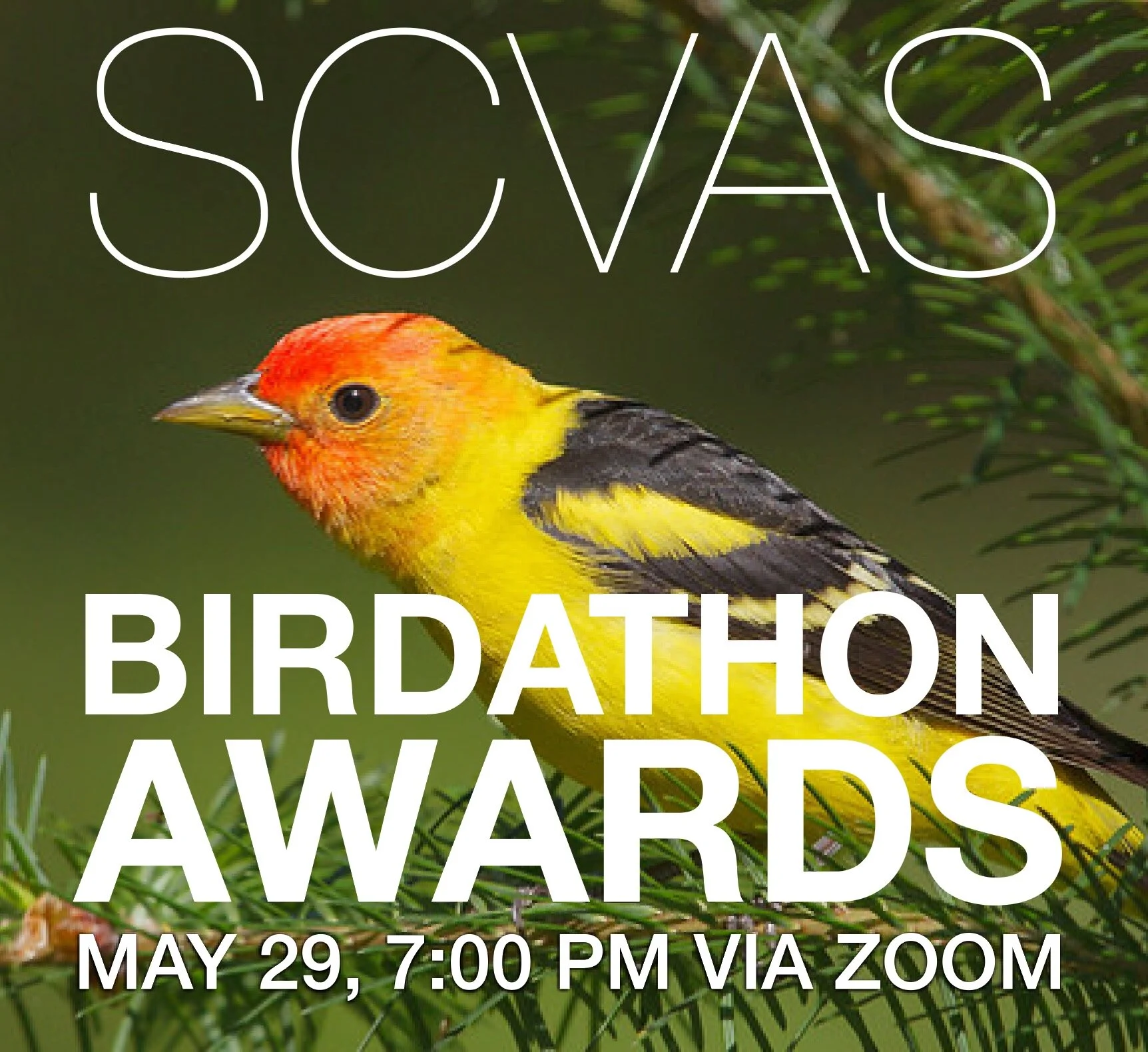 Birdathon Awards Event