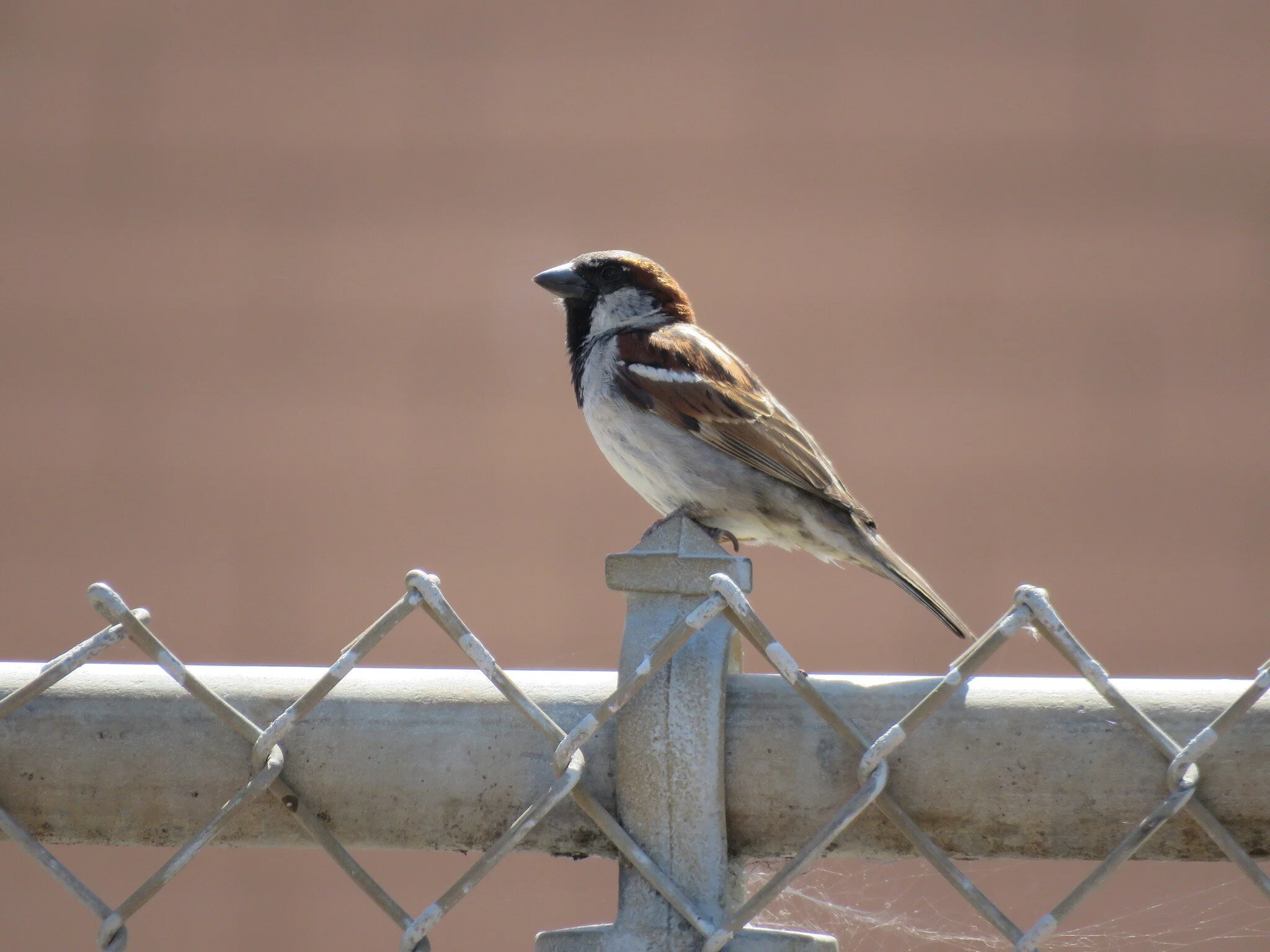 Coyote Creek Watershed Tour: Creek for All