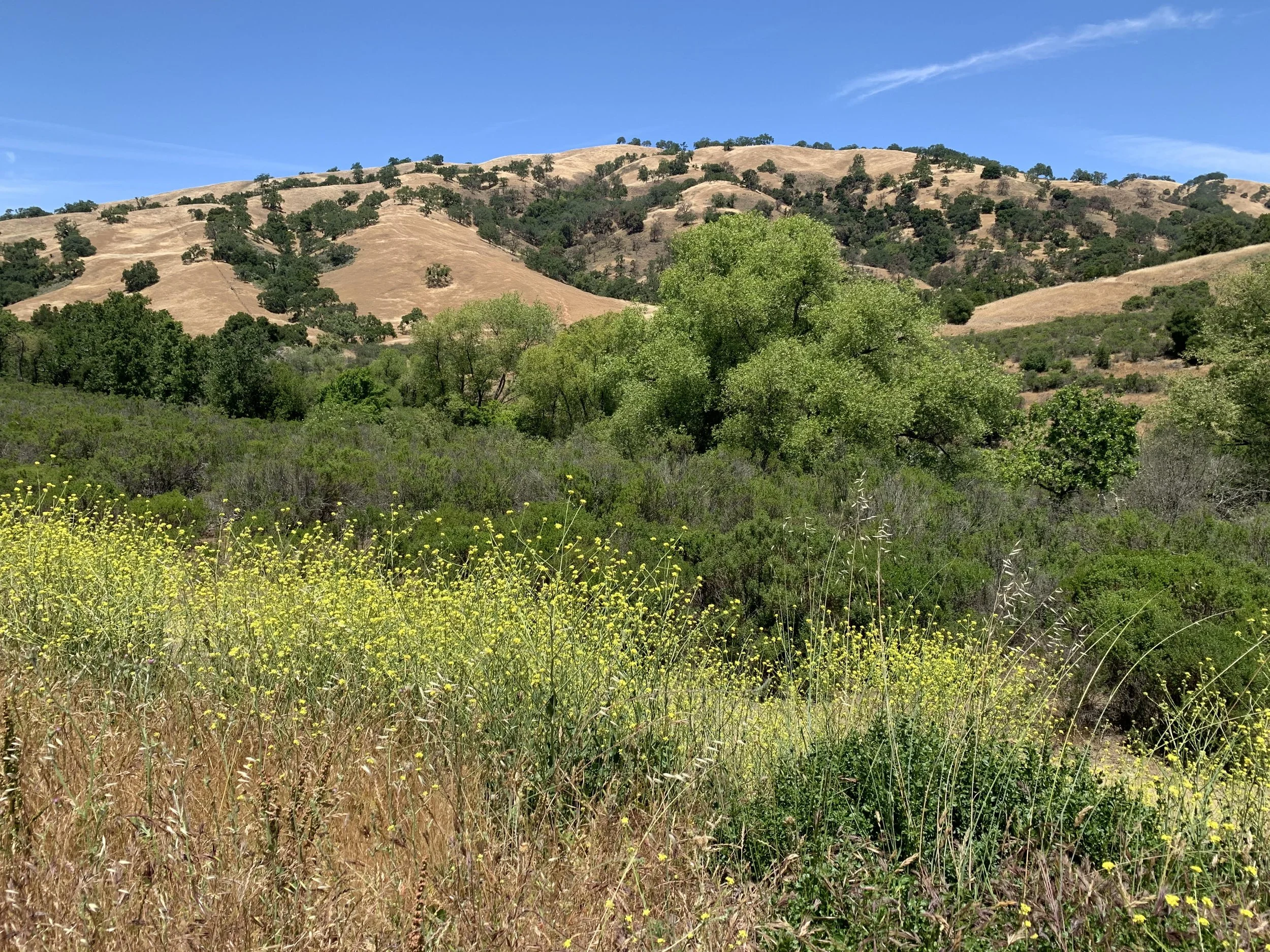 Joseph D Grant Eve Meier.jpeg