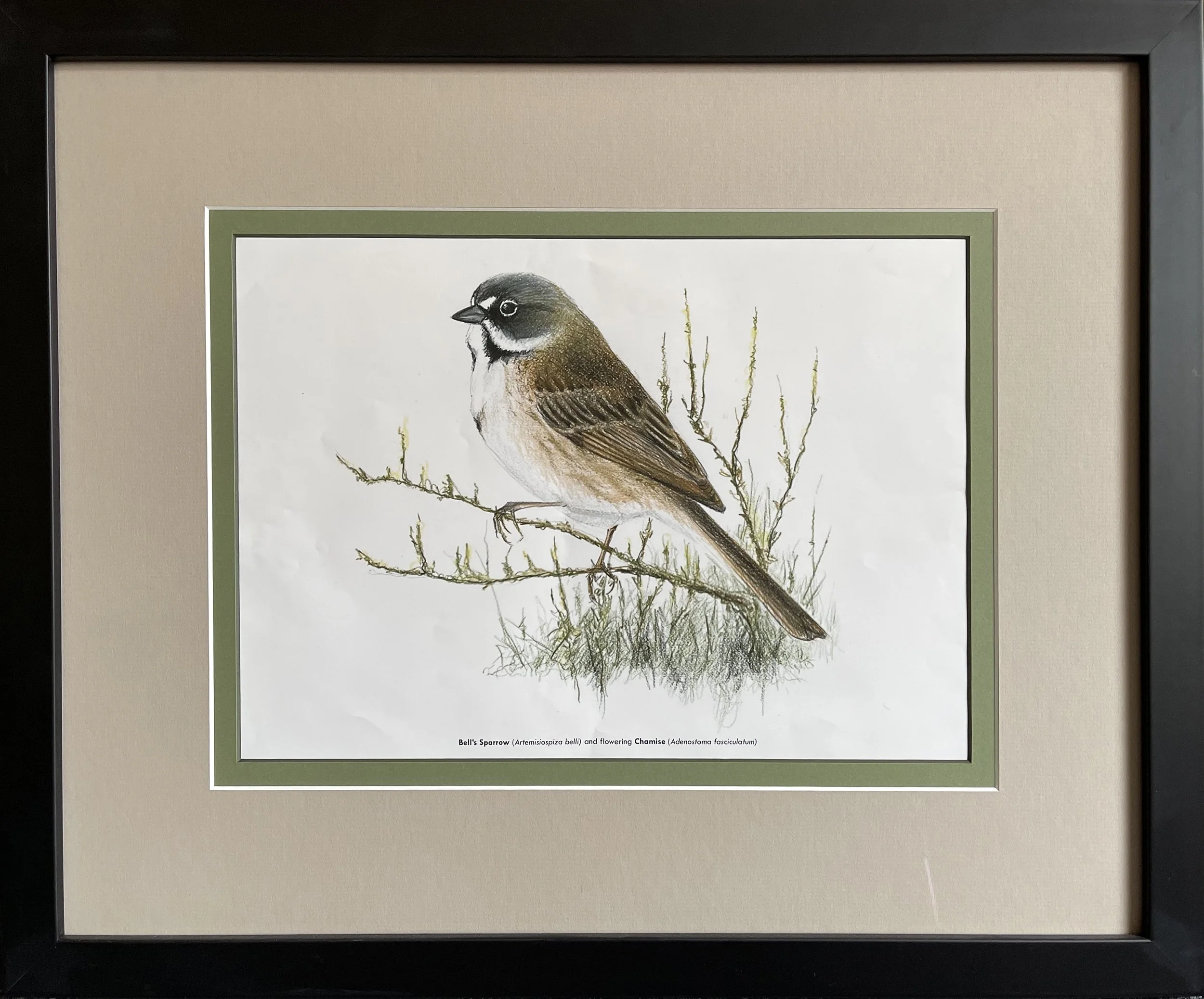 #312 bid $25 (0)