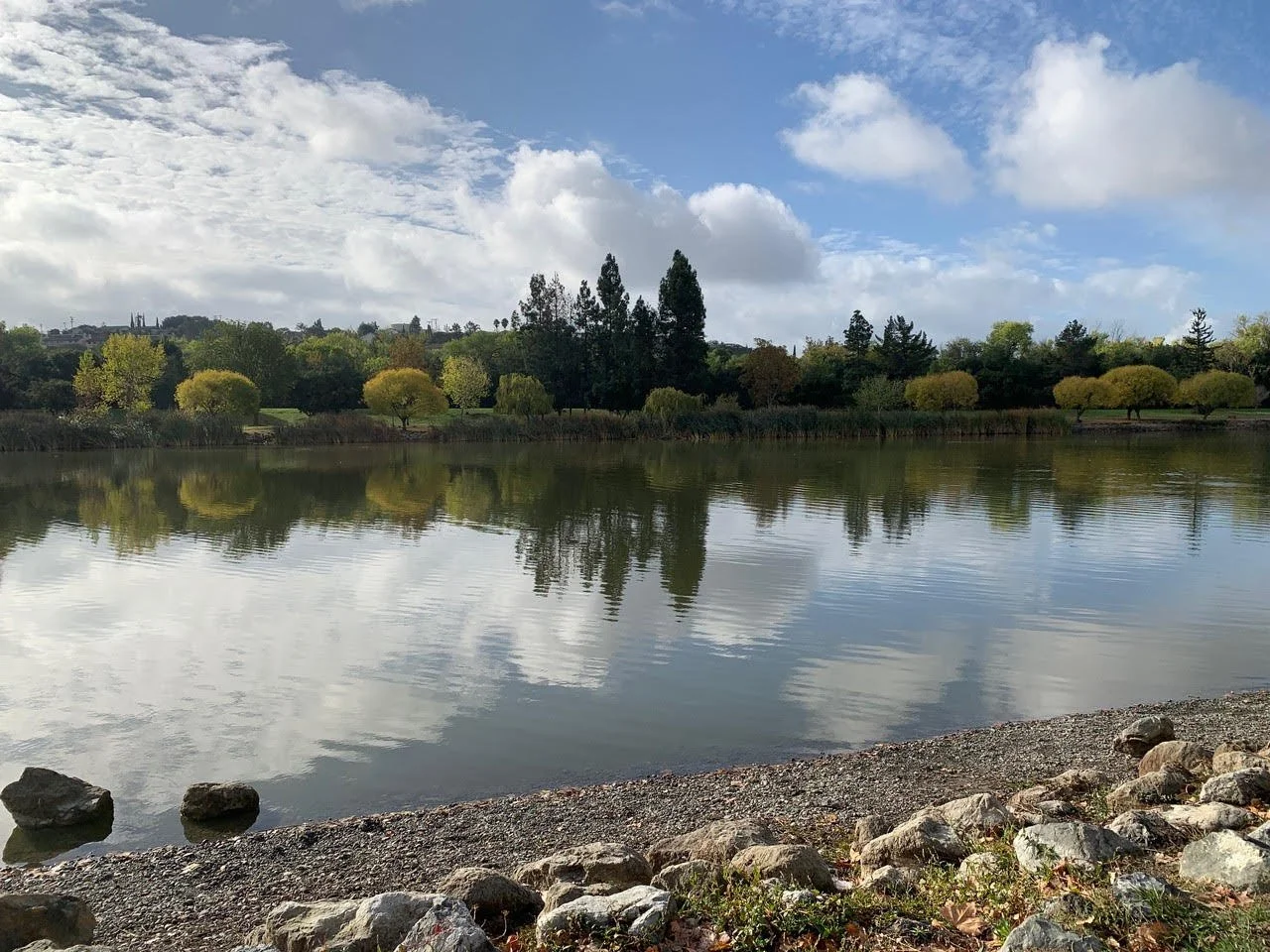 Hellyer County Park (Winter): Take a Gander at these Geese!