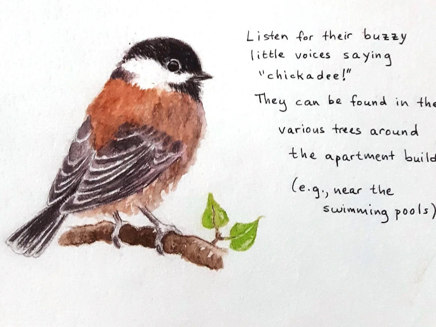 GETTING TO KNOW THE NEIGHBORS