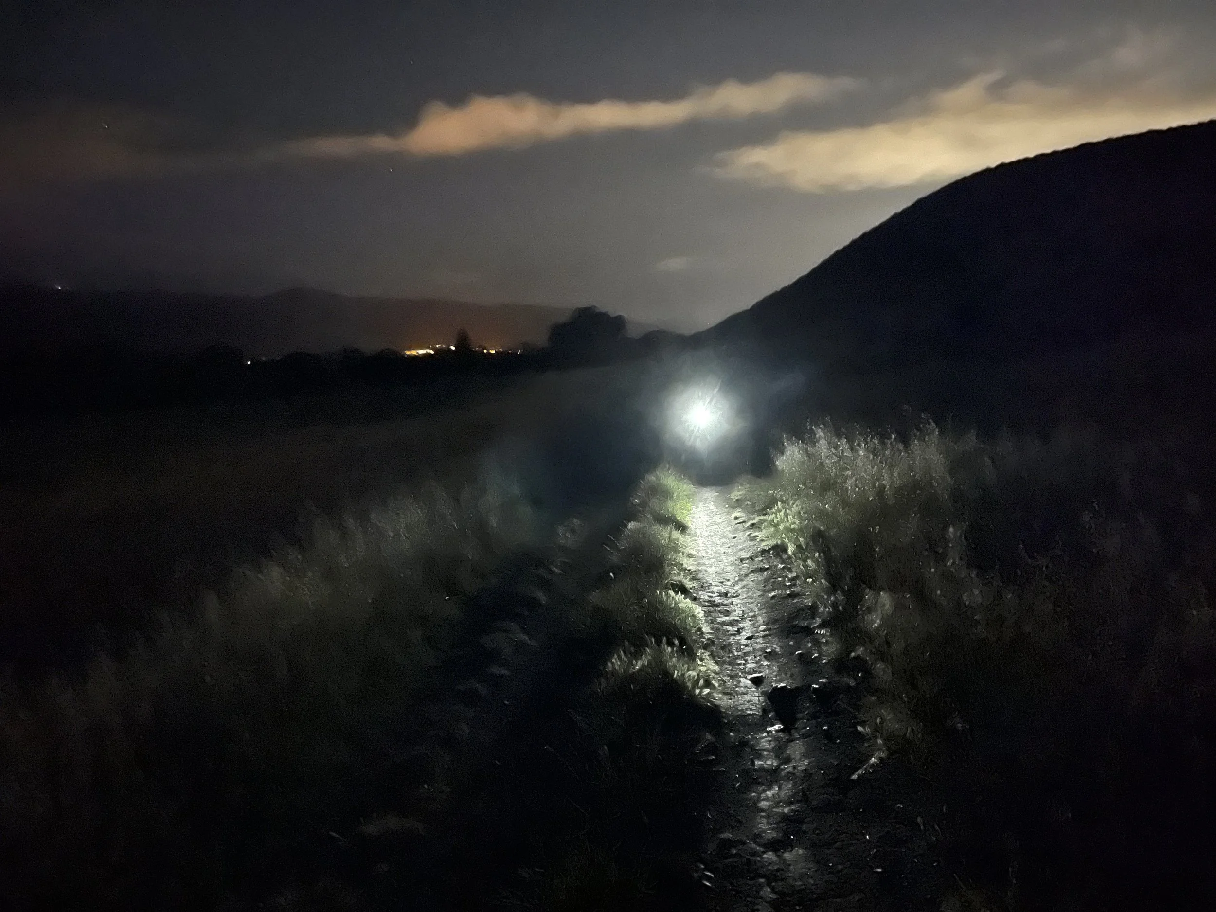 DeDUCKtions Trip Report 2022