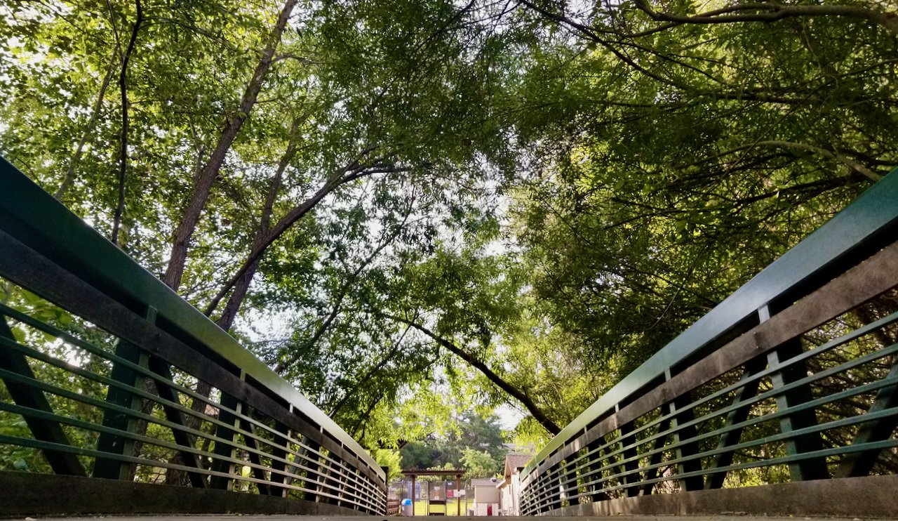 June Conservation Corner