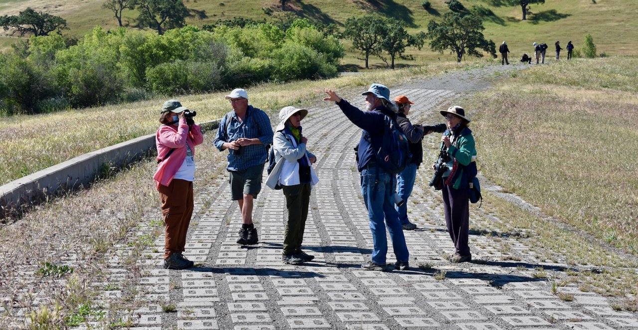 July Volunteer Opportunities