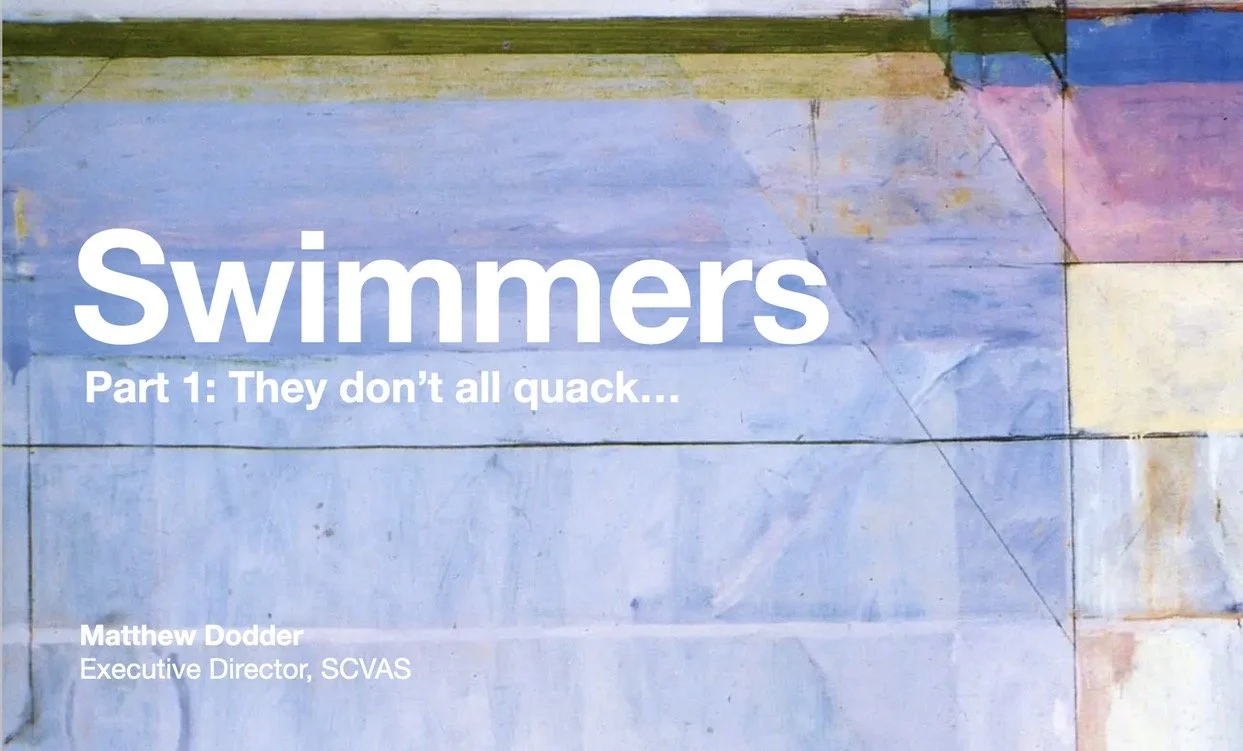 SCVAS Learn: Swimmers