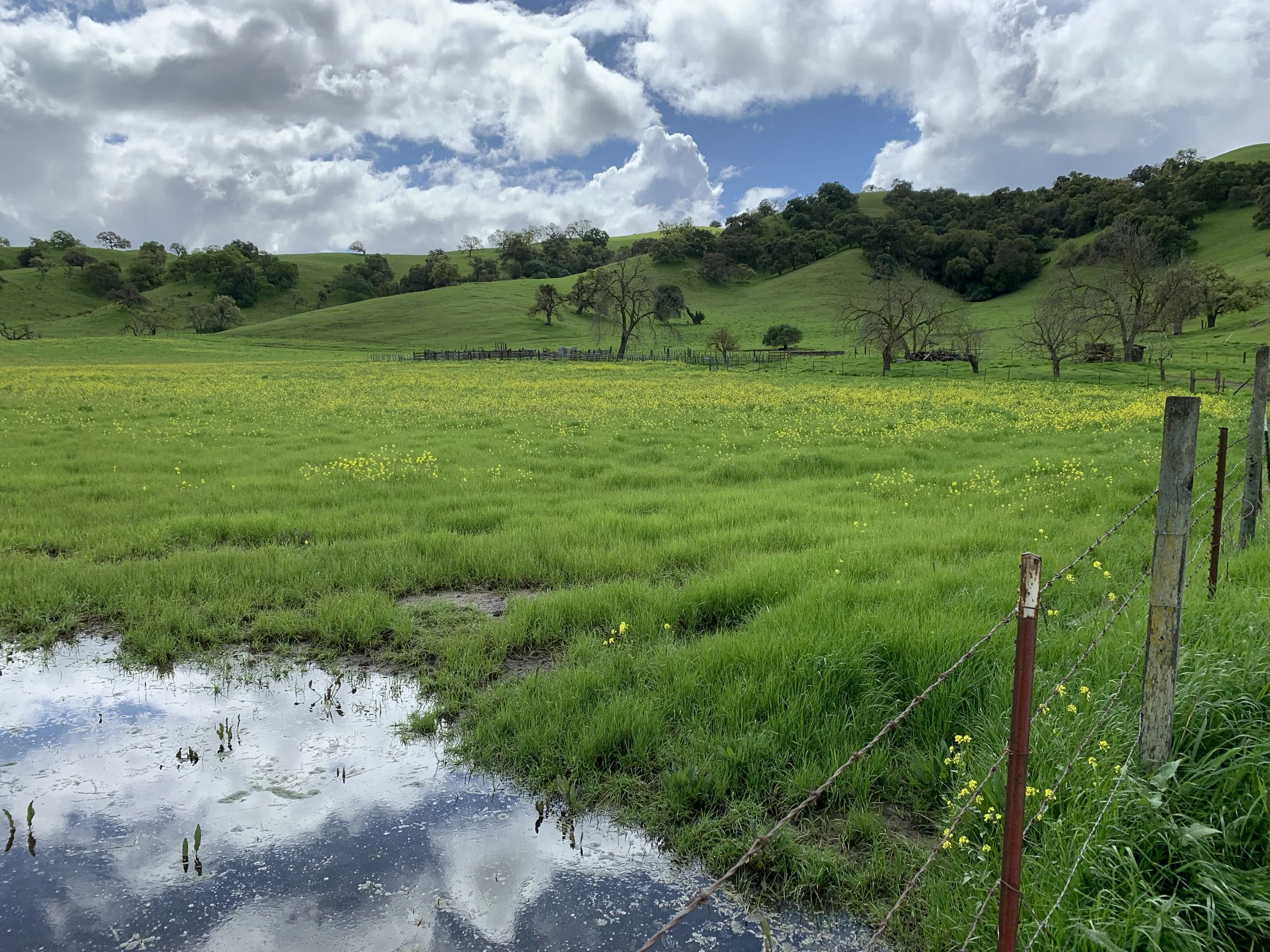 Preserving Coyote Valley