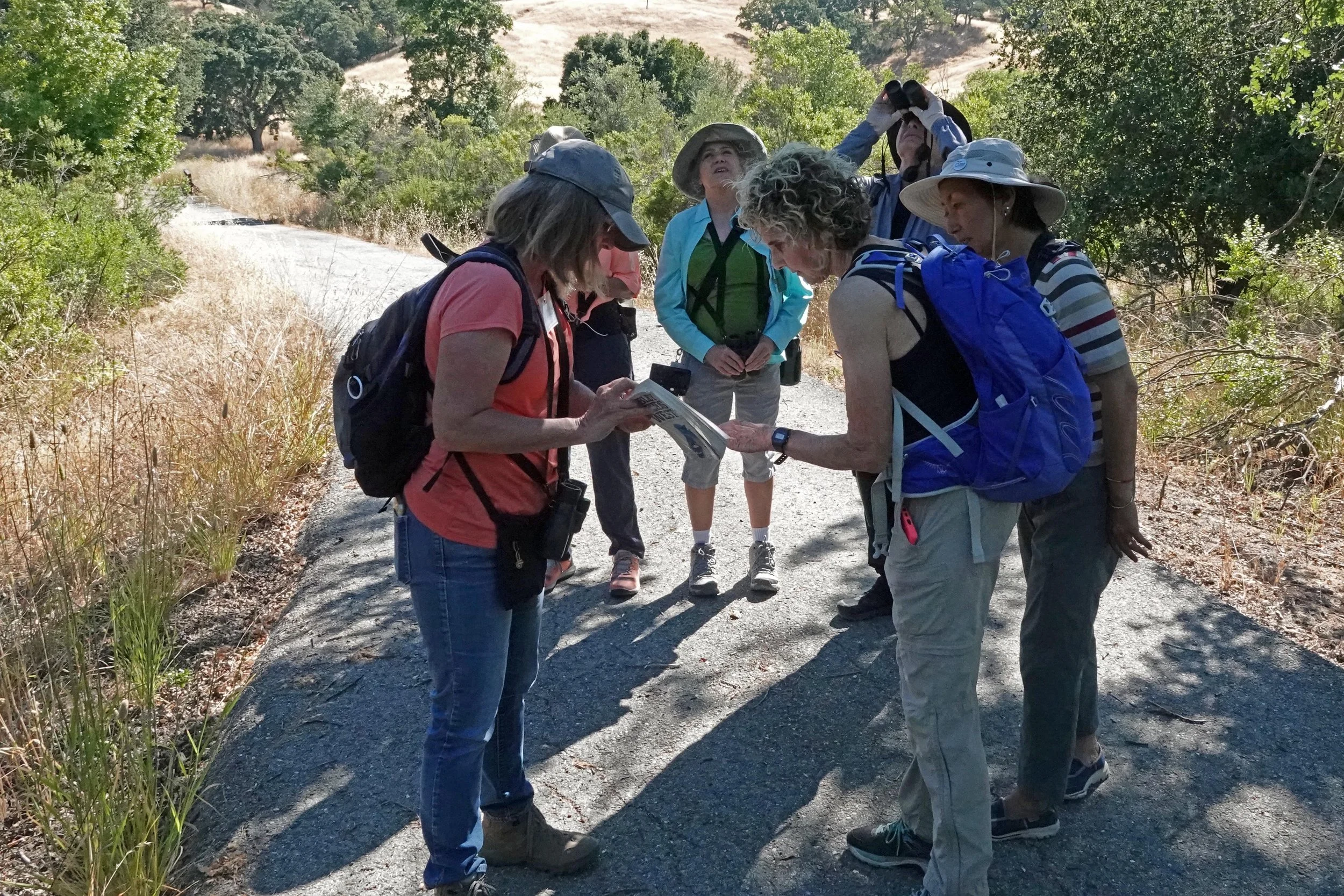 In-Person Field Trips