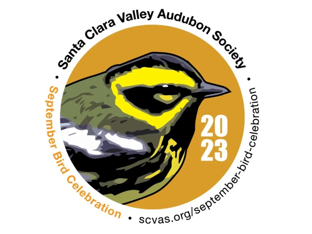 September Bird Celebration! Gallery Now Open