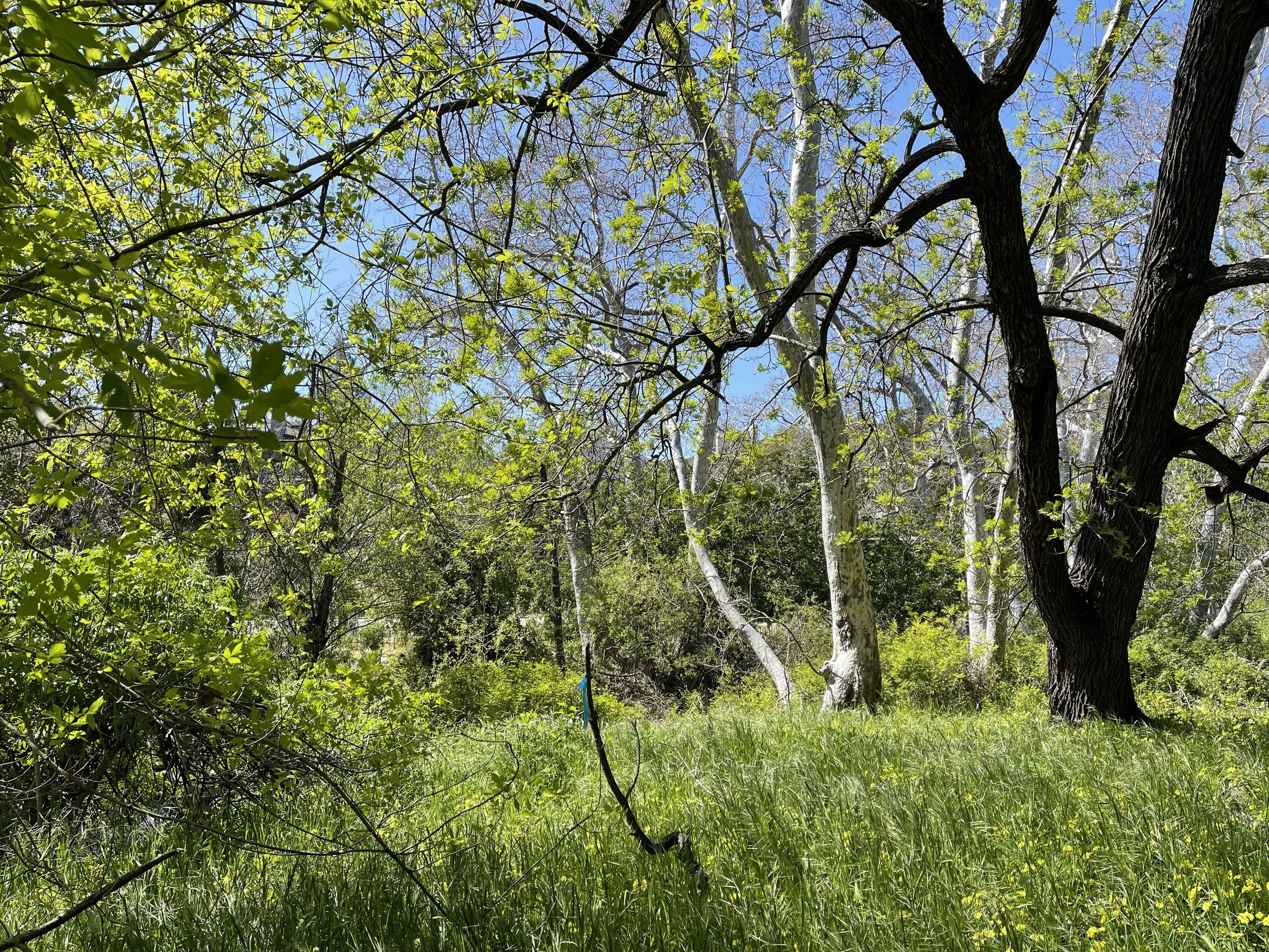 Environmental Advocacy Campaign 2023