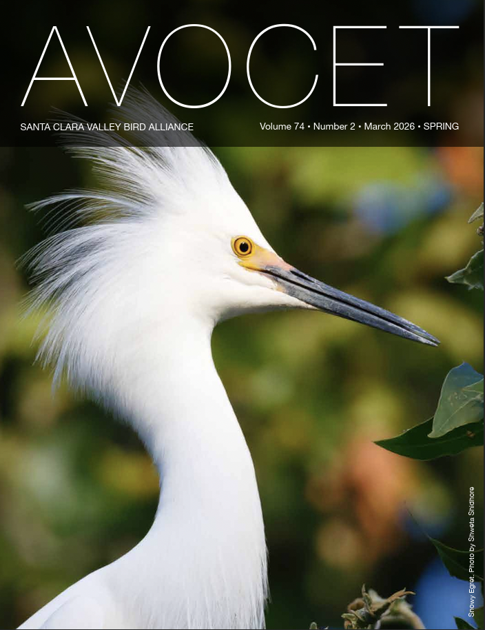 Screen Shot 2026-03-04 at 11.37.54 AM.png