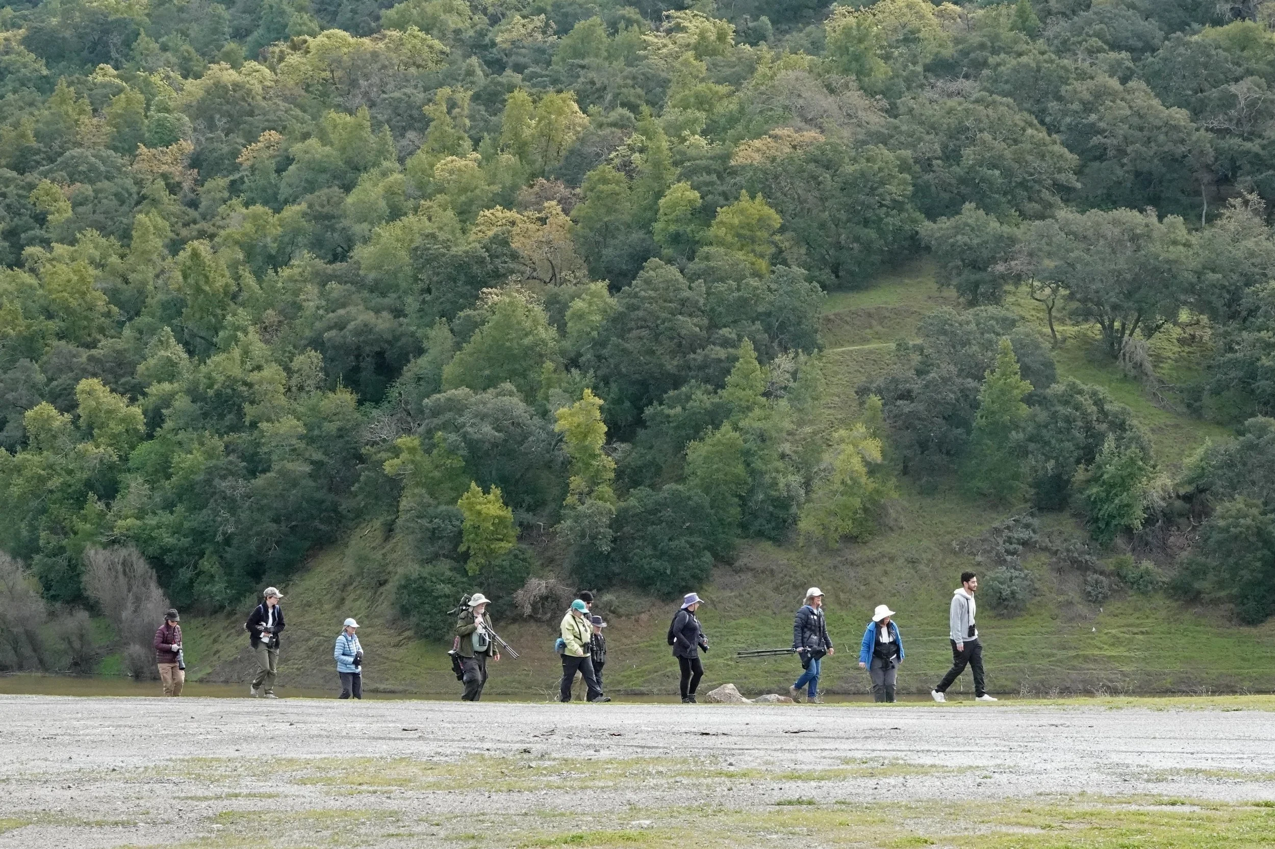 In-Person Field Trips