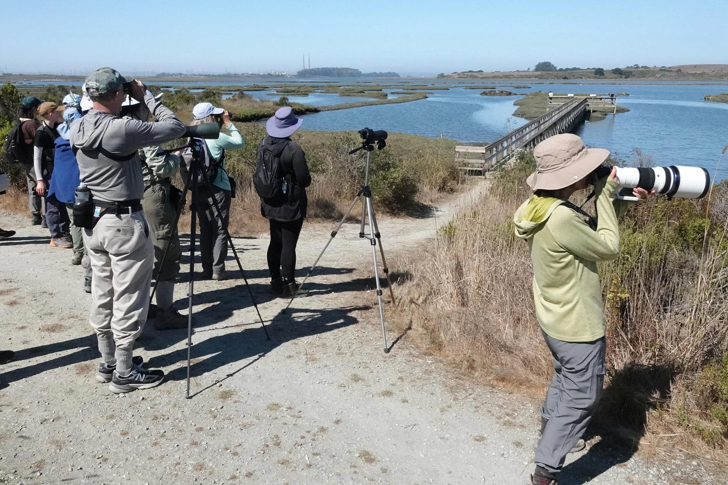 In-Person Field Trips 