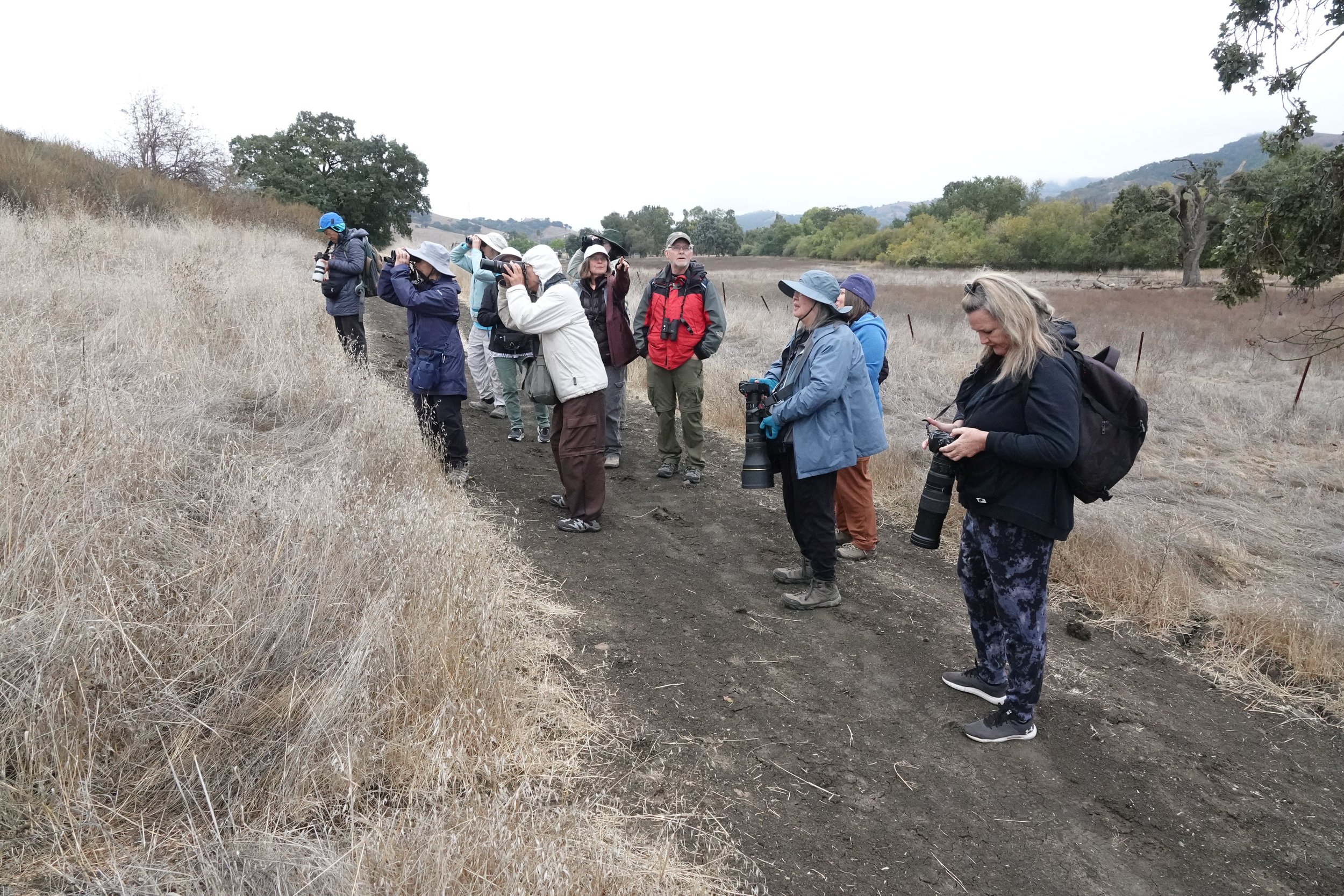 In-Person Field Trips