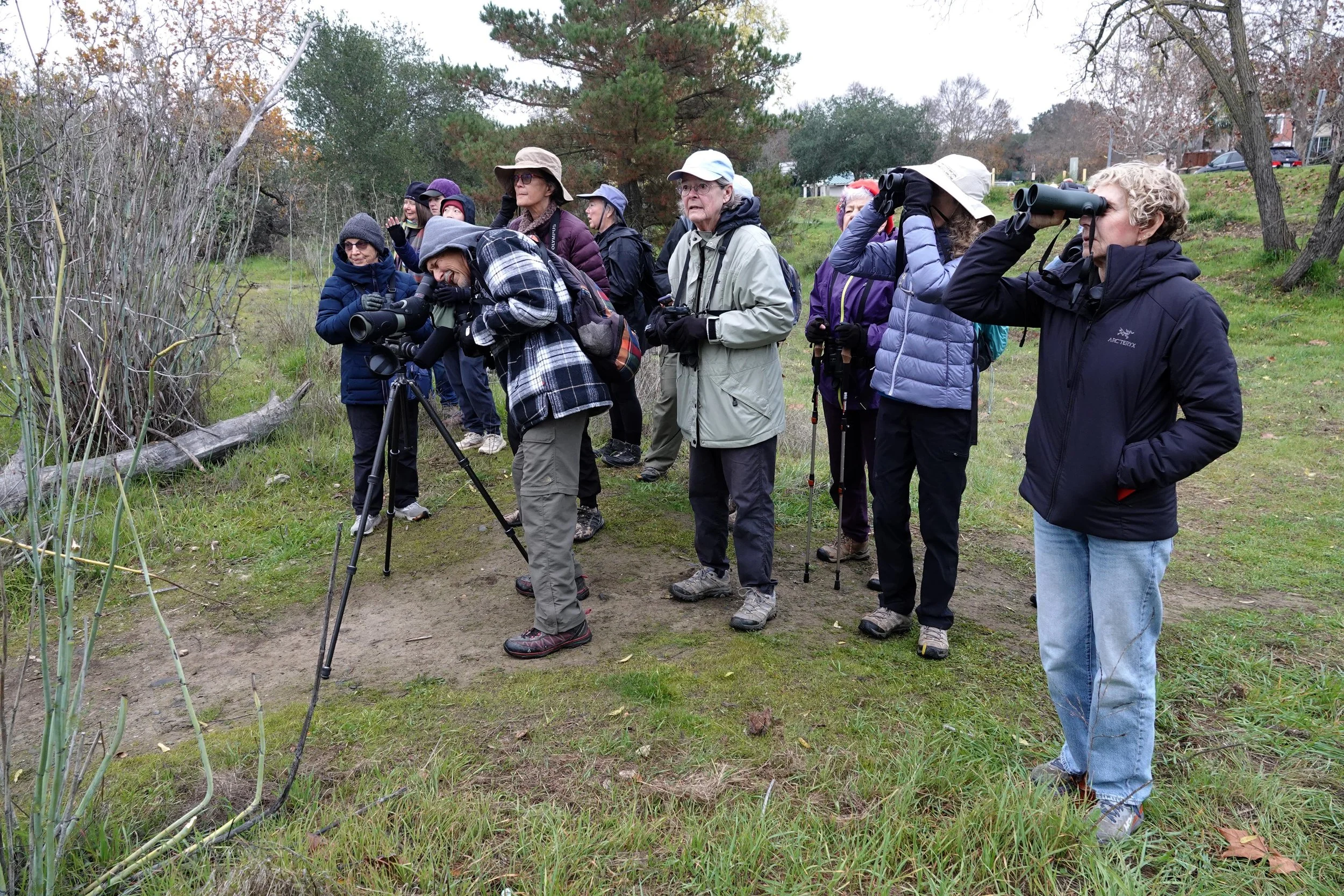 In-Person Field Trips