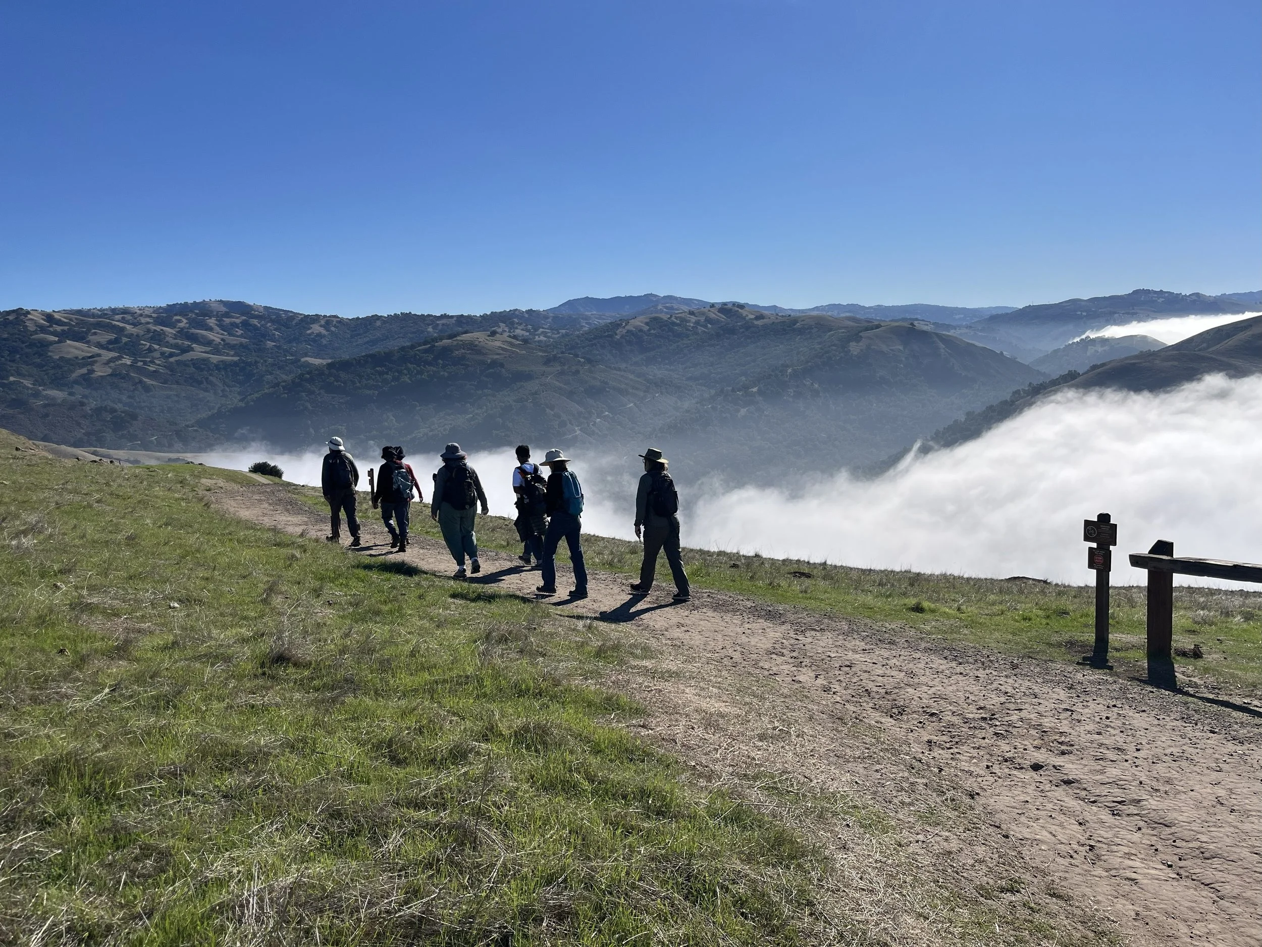 In-Person Field Trips