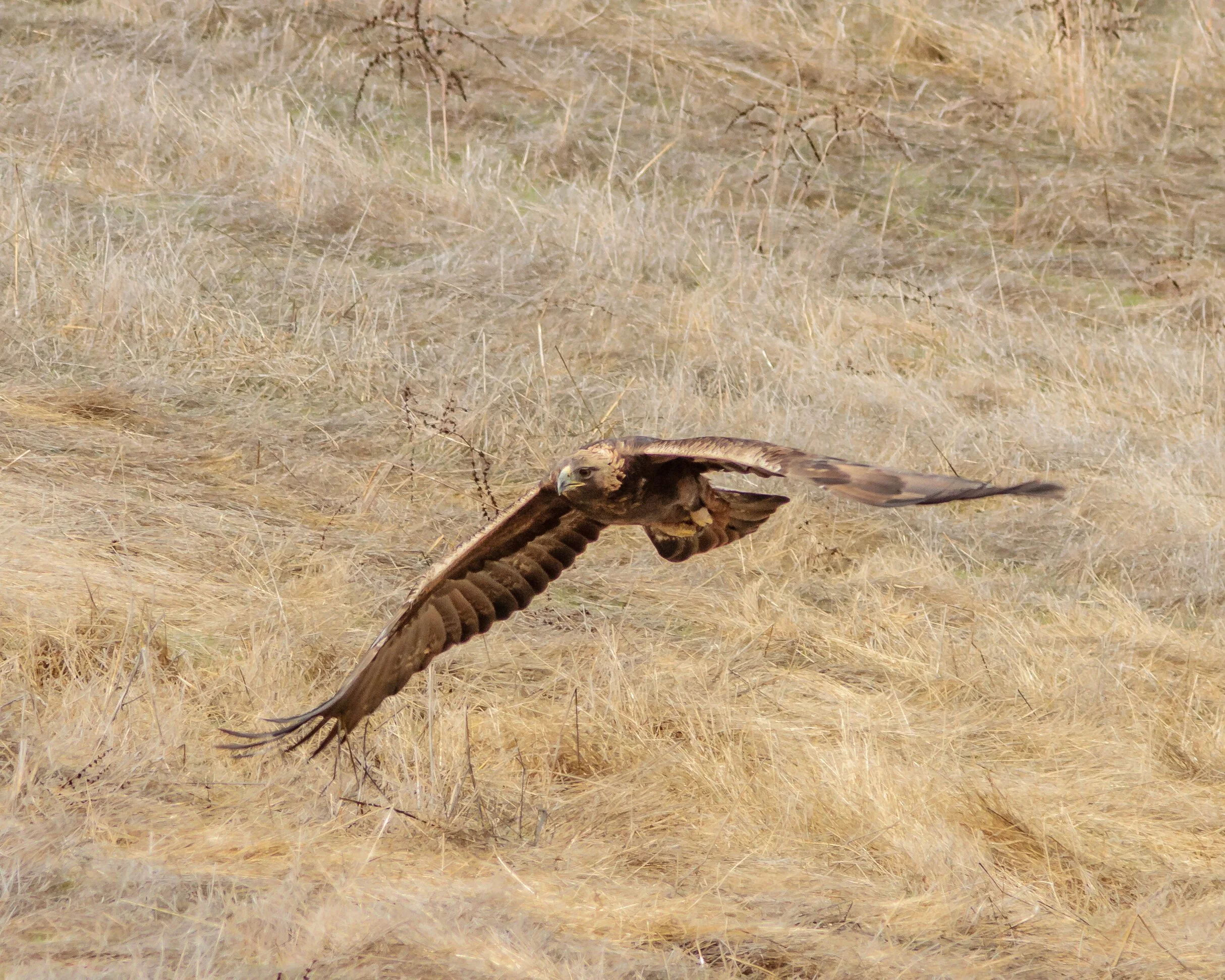 Juristac Protected: A Long-Awaited Conservation Win