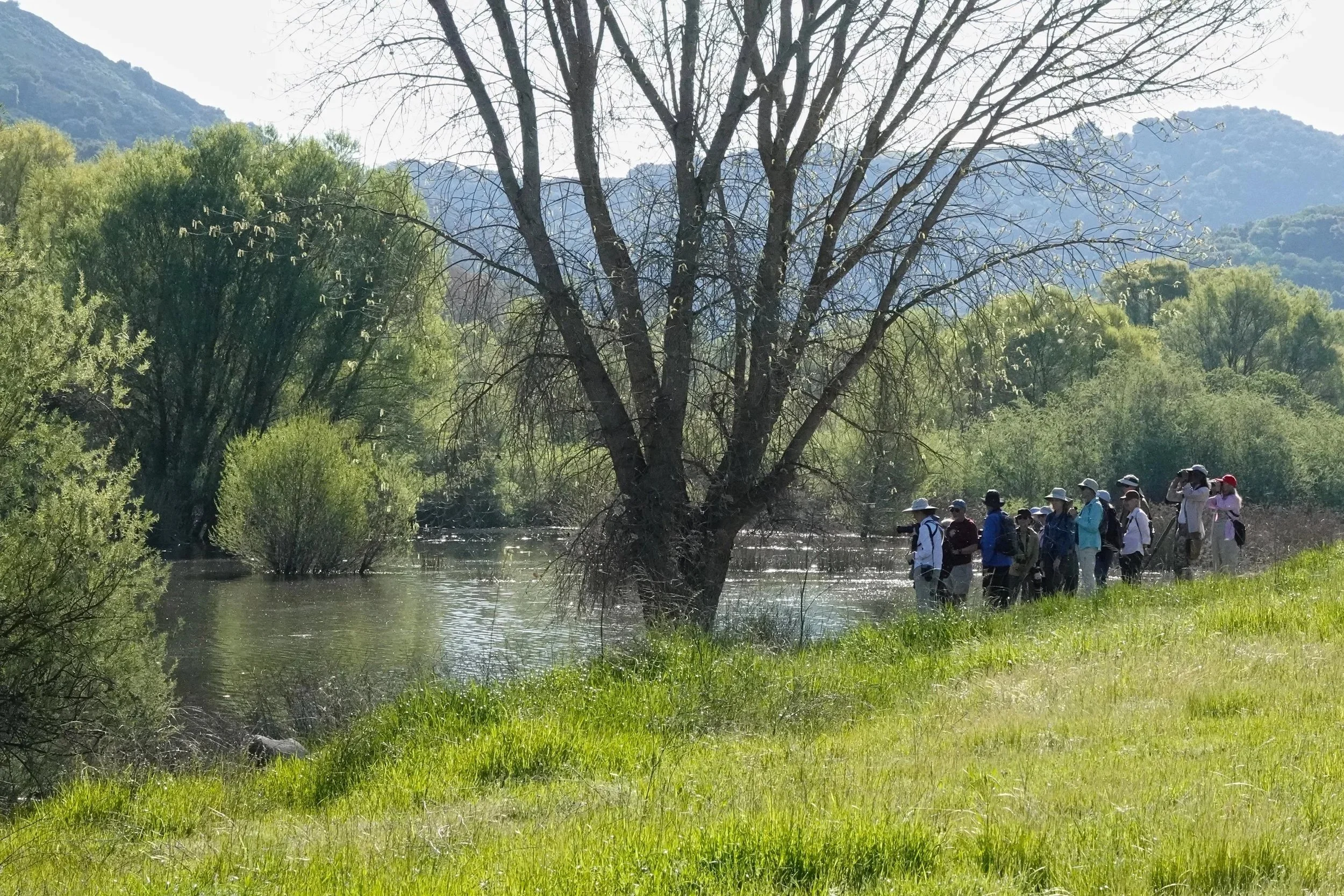 In-Person Field Trips  