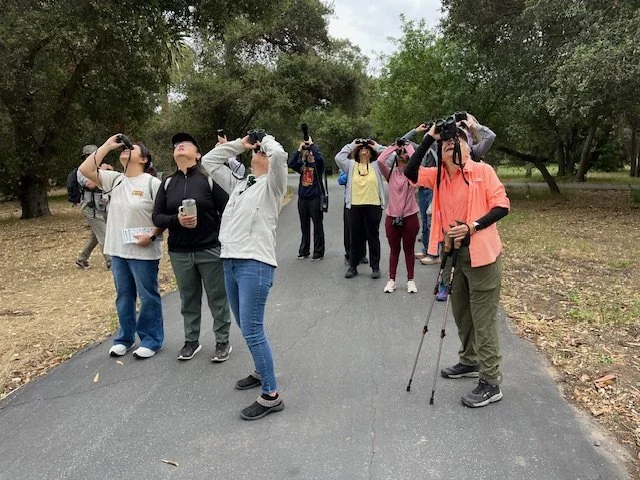 In-Person Field Trips 