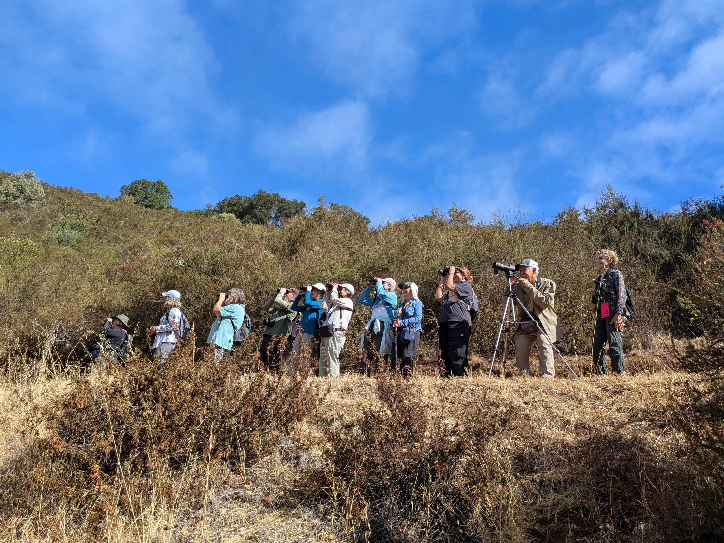 In-Person Field Trips