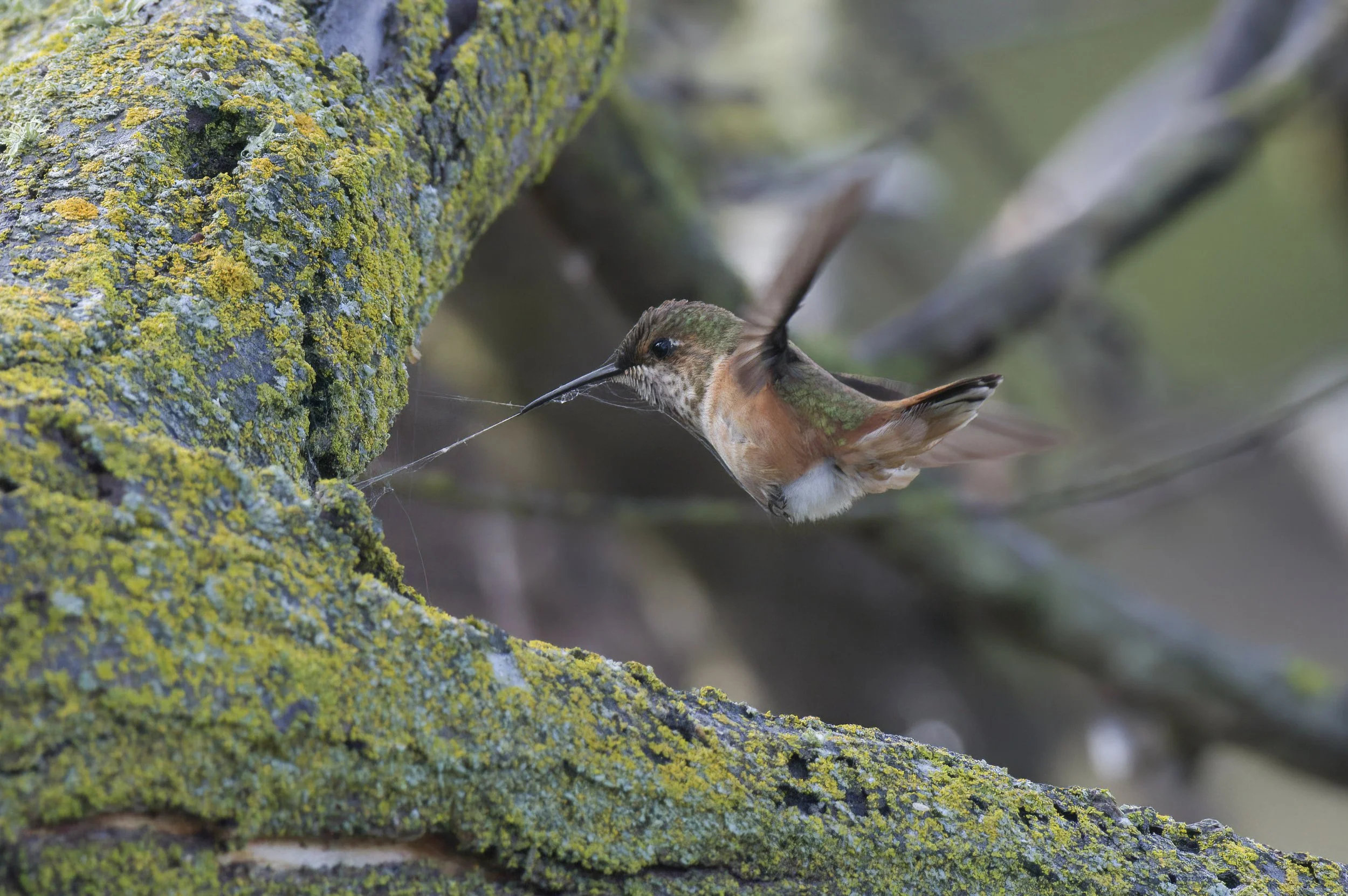 8-DSC_9046-raw.jpg