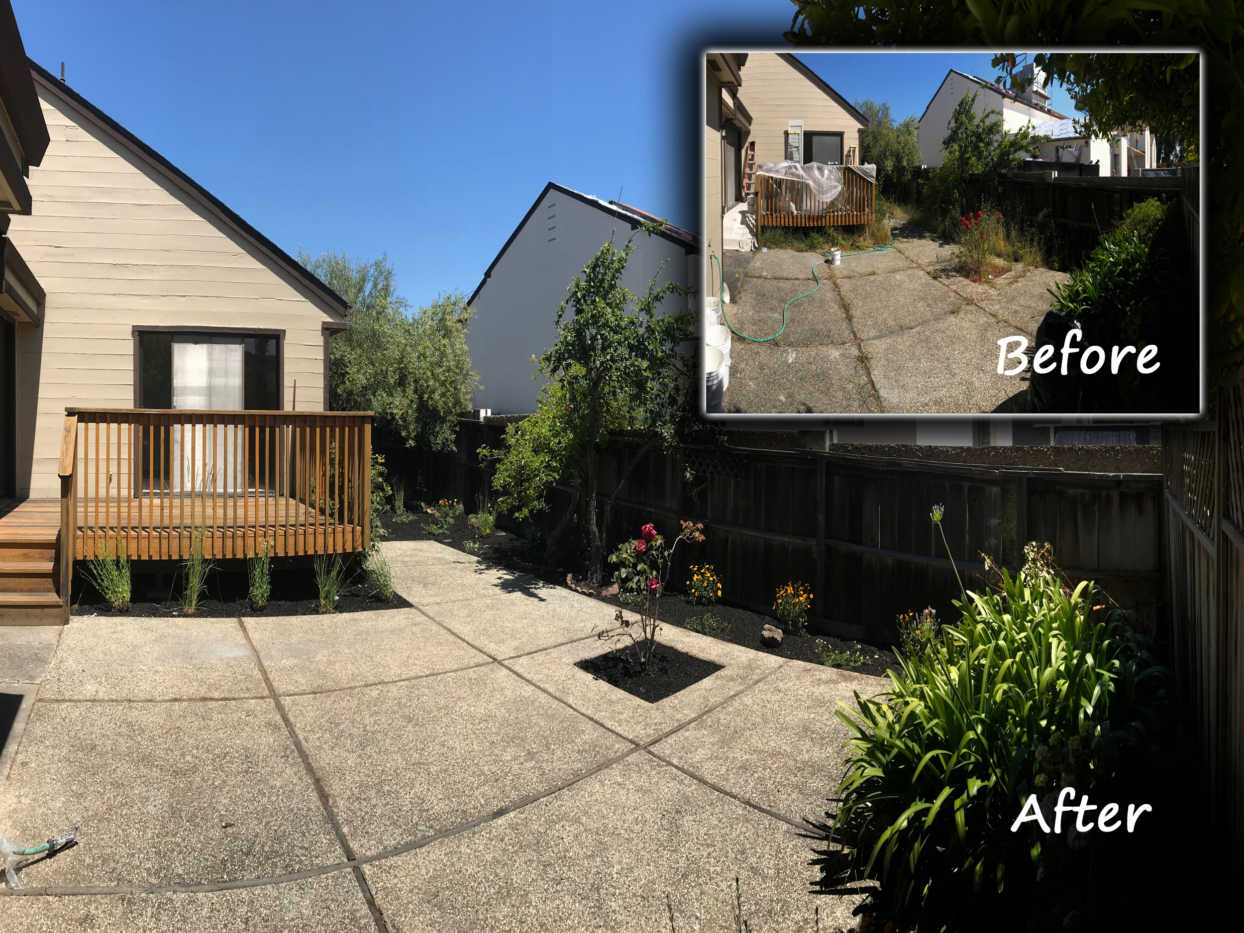 14 cypress court milbrae Before and after.jpg