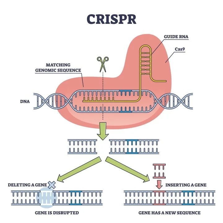 CRISPR.jpg