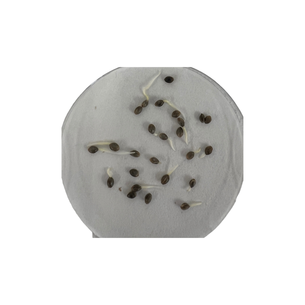 Microbial Testing Services