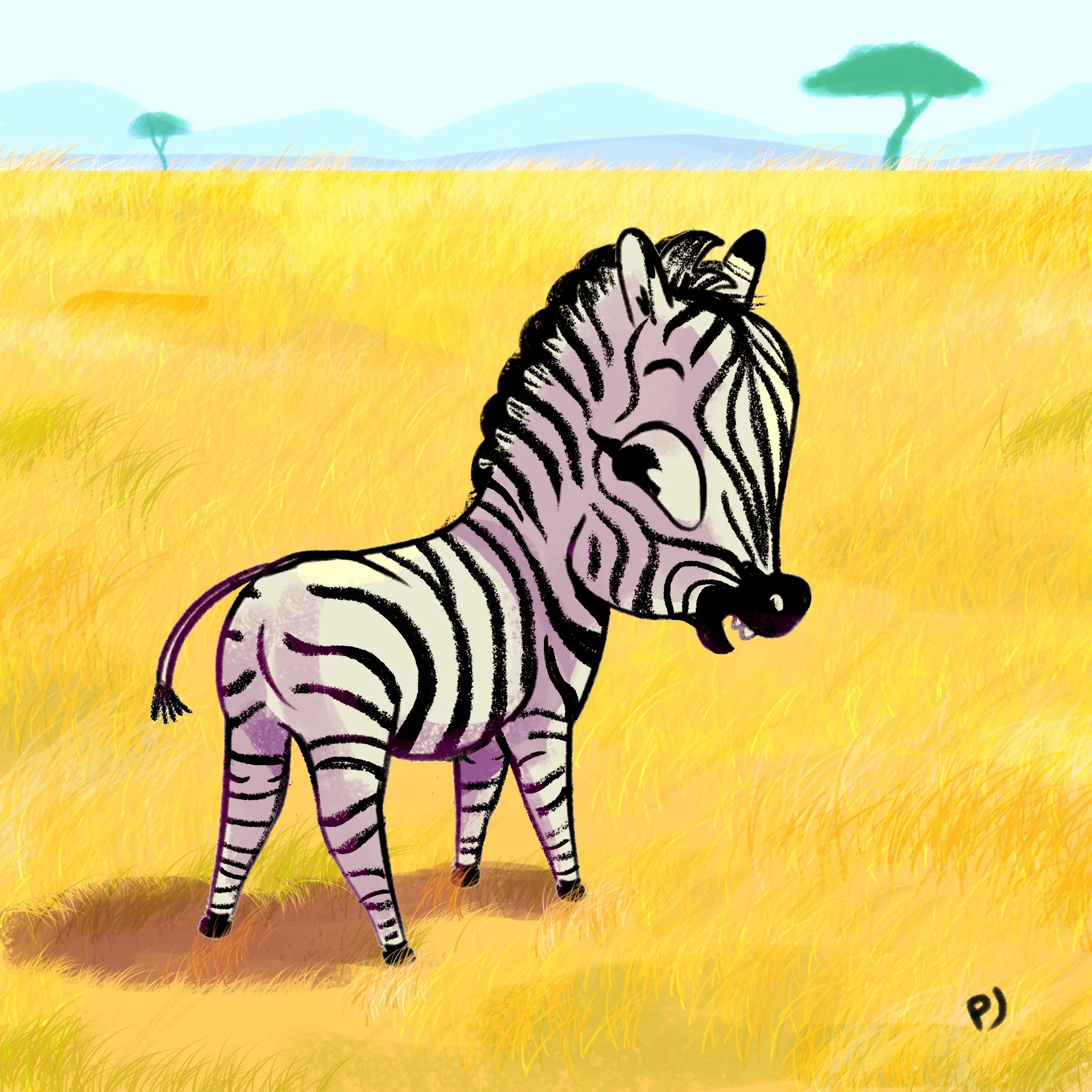 Zebra.jpg