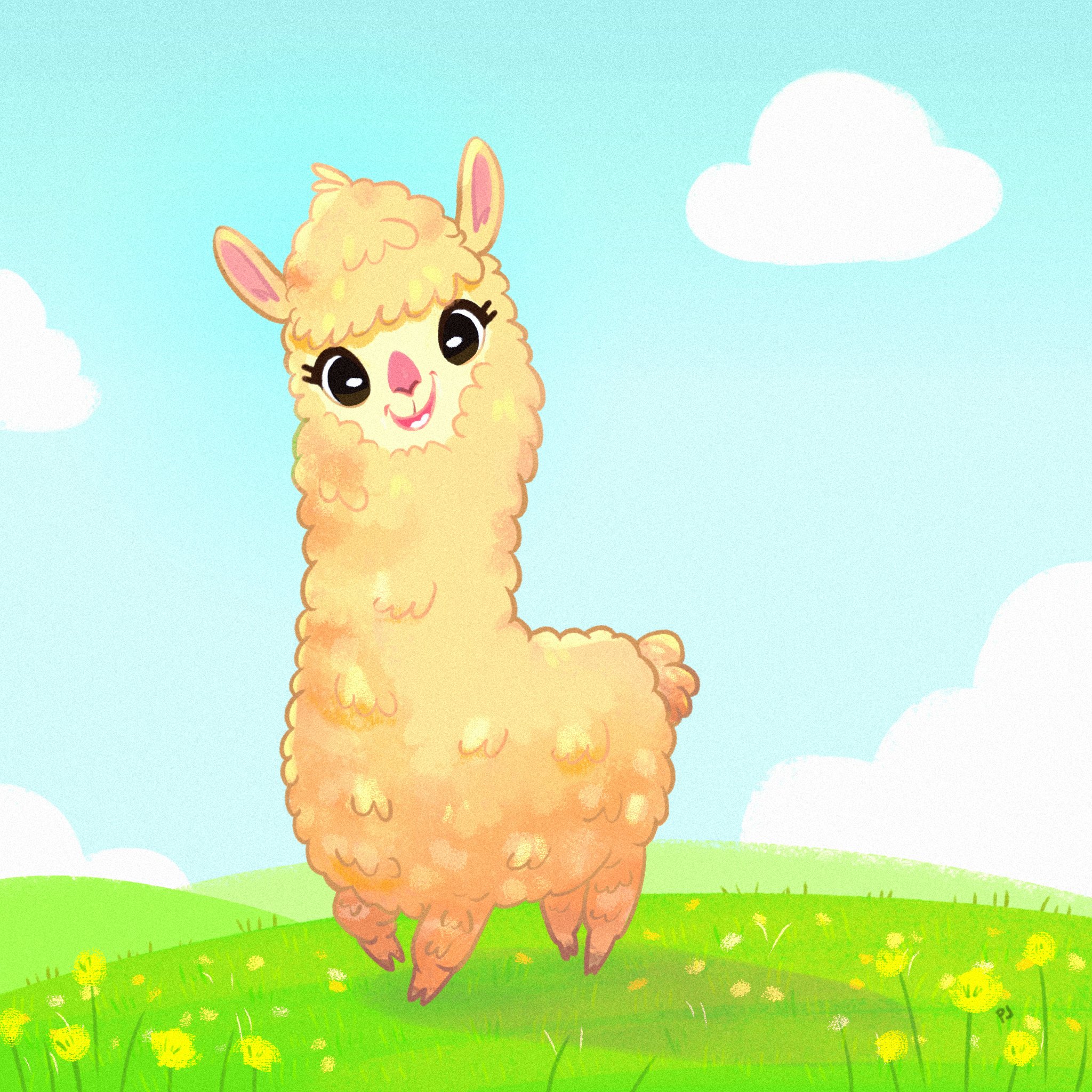 Alpaca 01.jpg