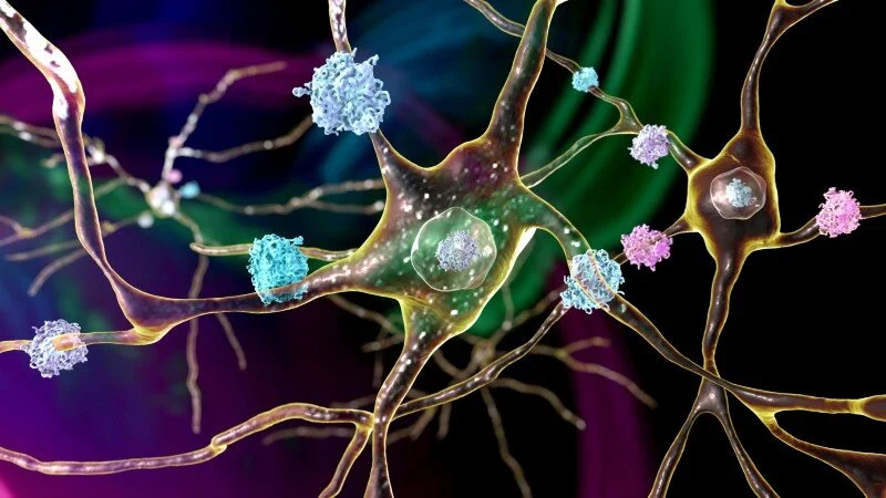 New class of small molecules target DNA damage repair and Huntington’s disease