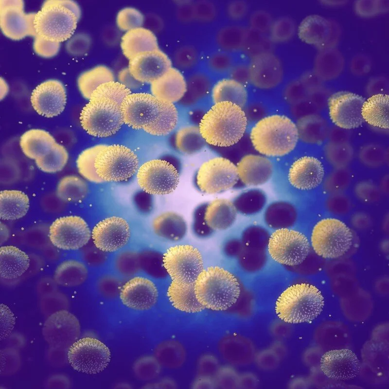 Multiplex testing helps provide critical insights as respiratory viruses surge