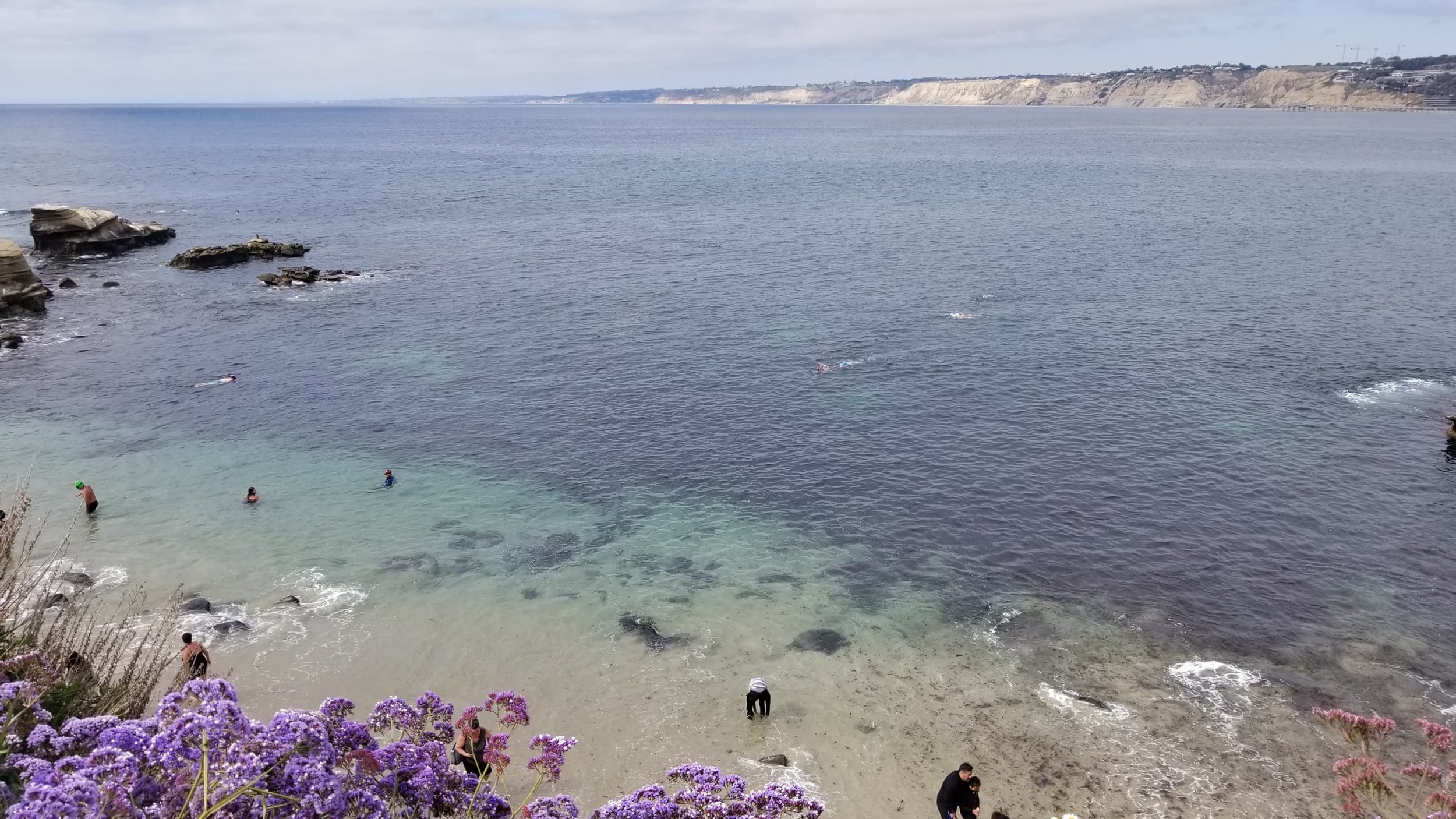 20190426_160004.jpg