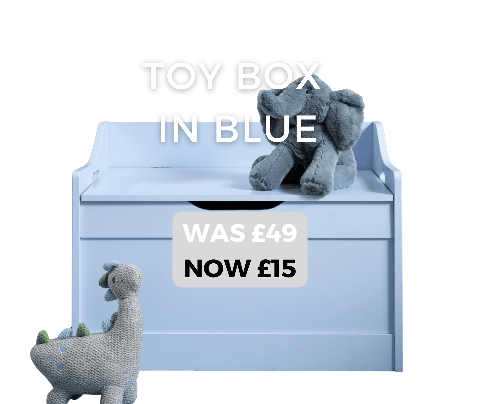 Blue Toy Box