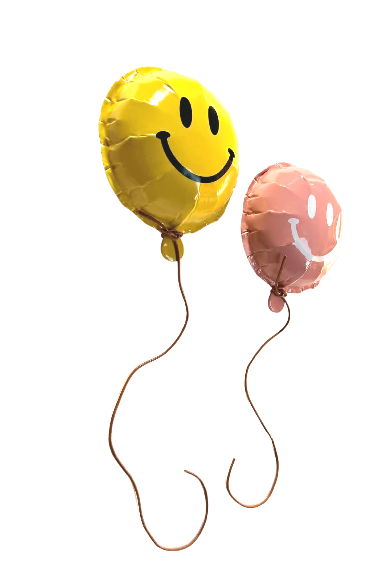 Ceci+5.png