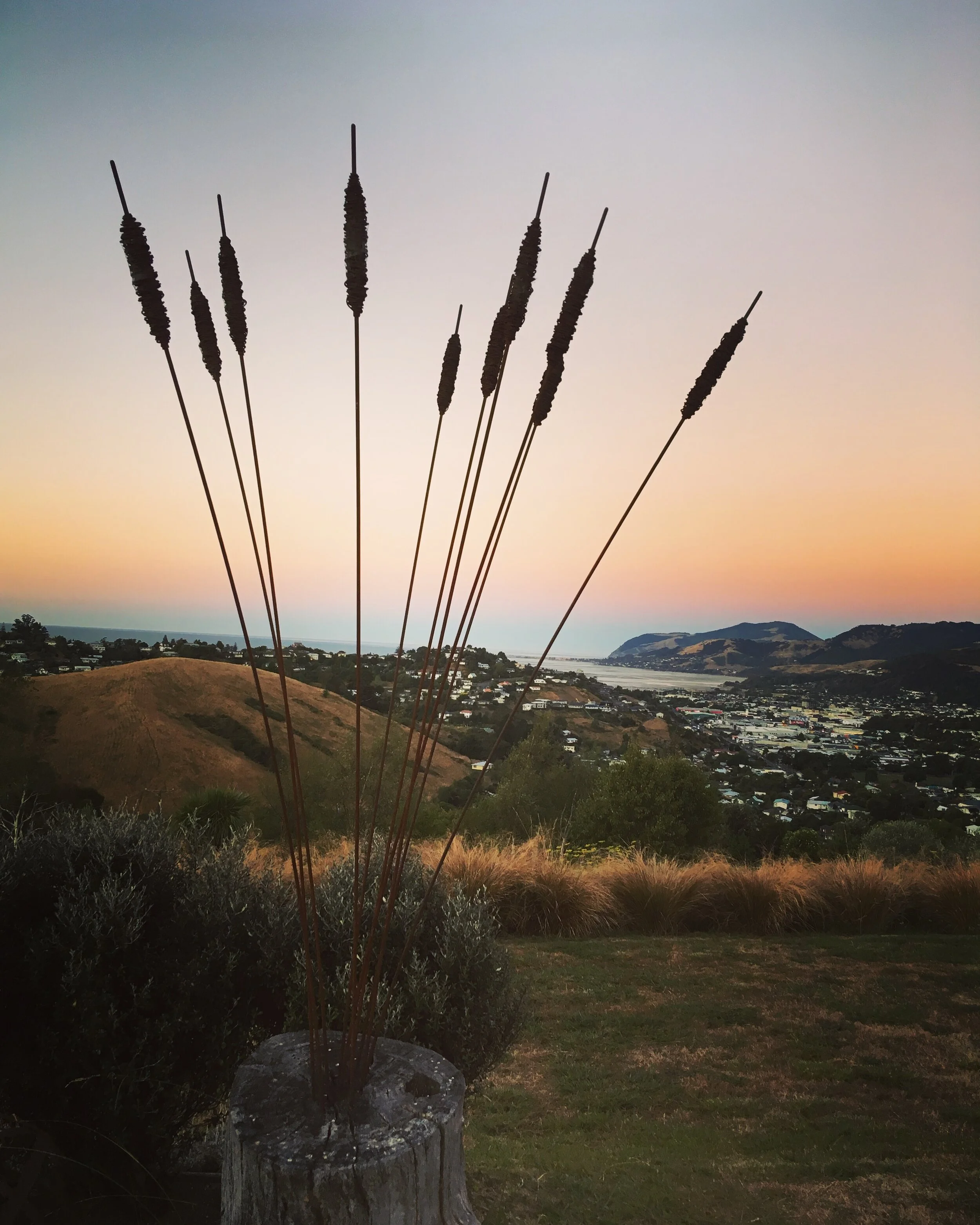 Large bulrushes RRP $95 each.JPG