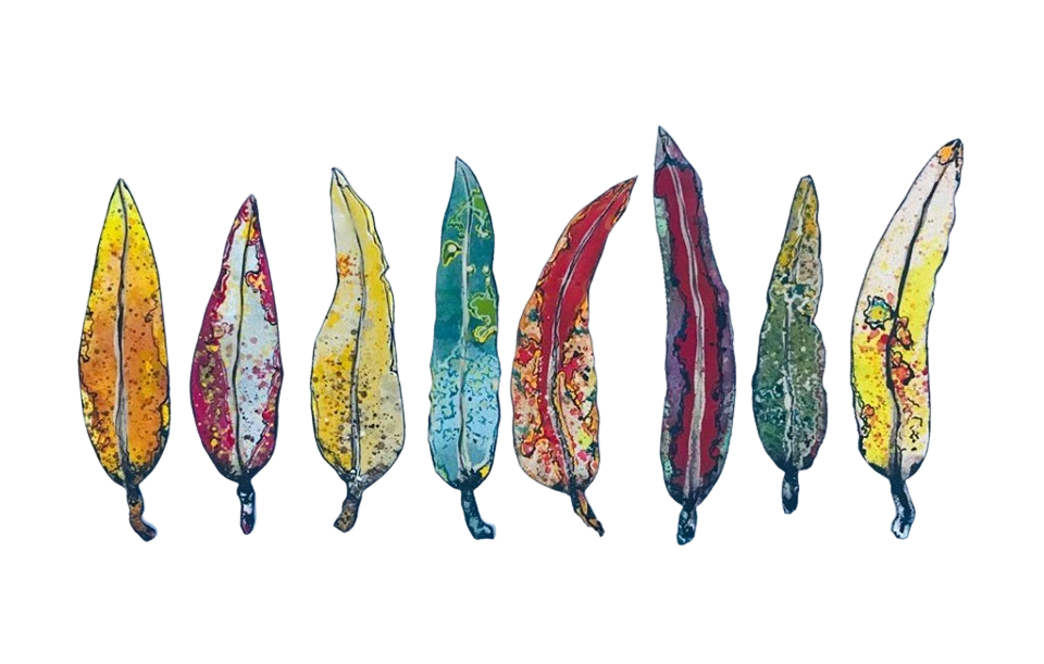 Gum Leaves by Liz McAuliffe — The Art Shed