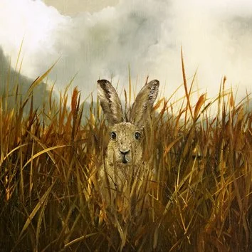 Rabbit .jpg